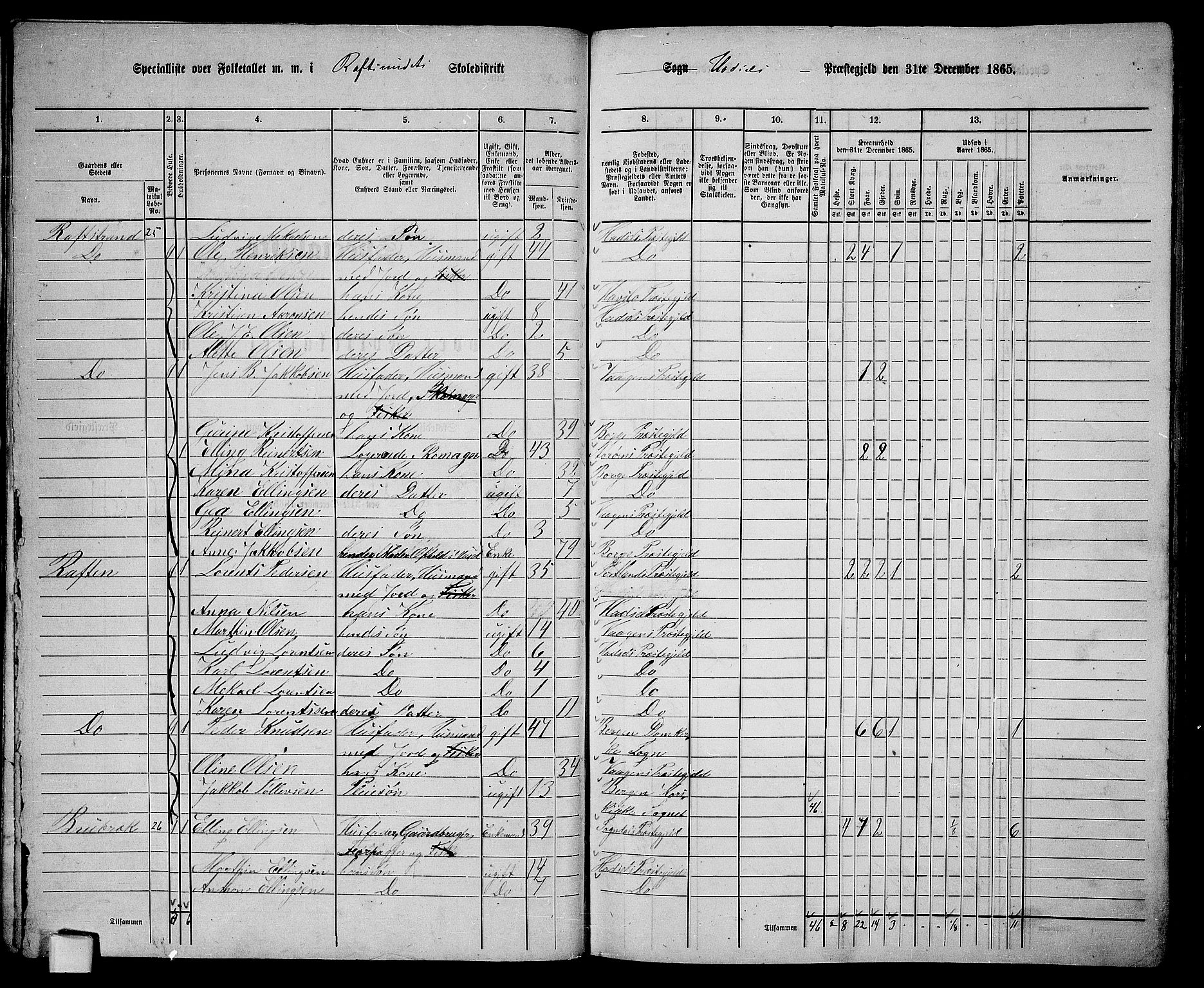 RA, 1865 census for Hadsel, 1865, p. 51