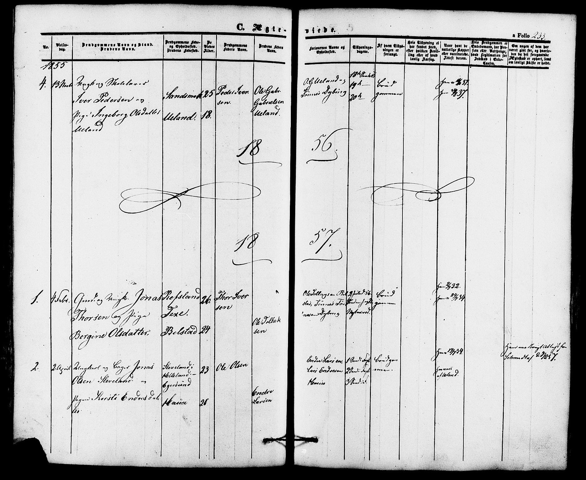 Lund sokneprestkontor, AV/SAST-A-101809/S06/L0010: Parish register (official) no. A 9, 1854-1886, p. 233