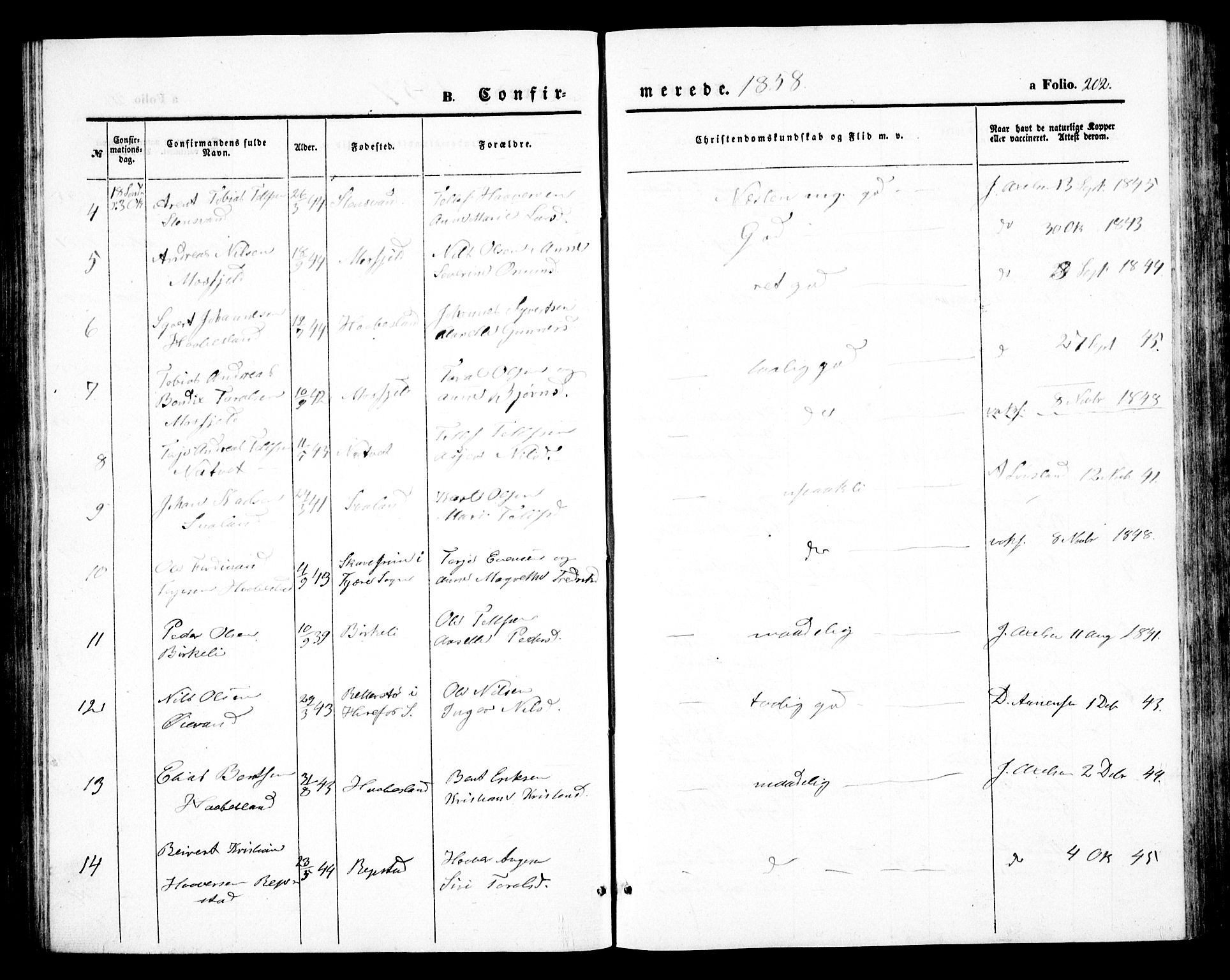Birkenes sokneprestkontor, SAK/1111-0004/F/Fb/L0002: Parish register (copy) no. B 2, 1849-1876, p. 202