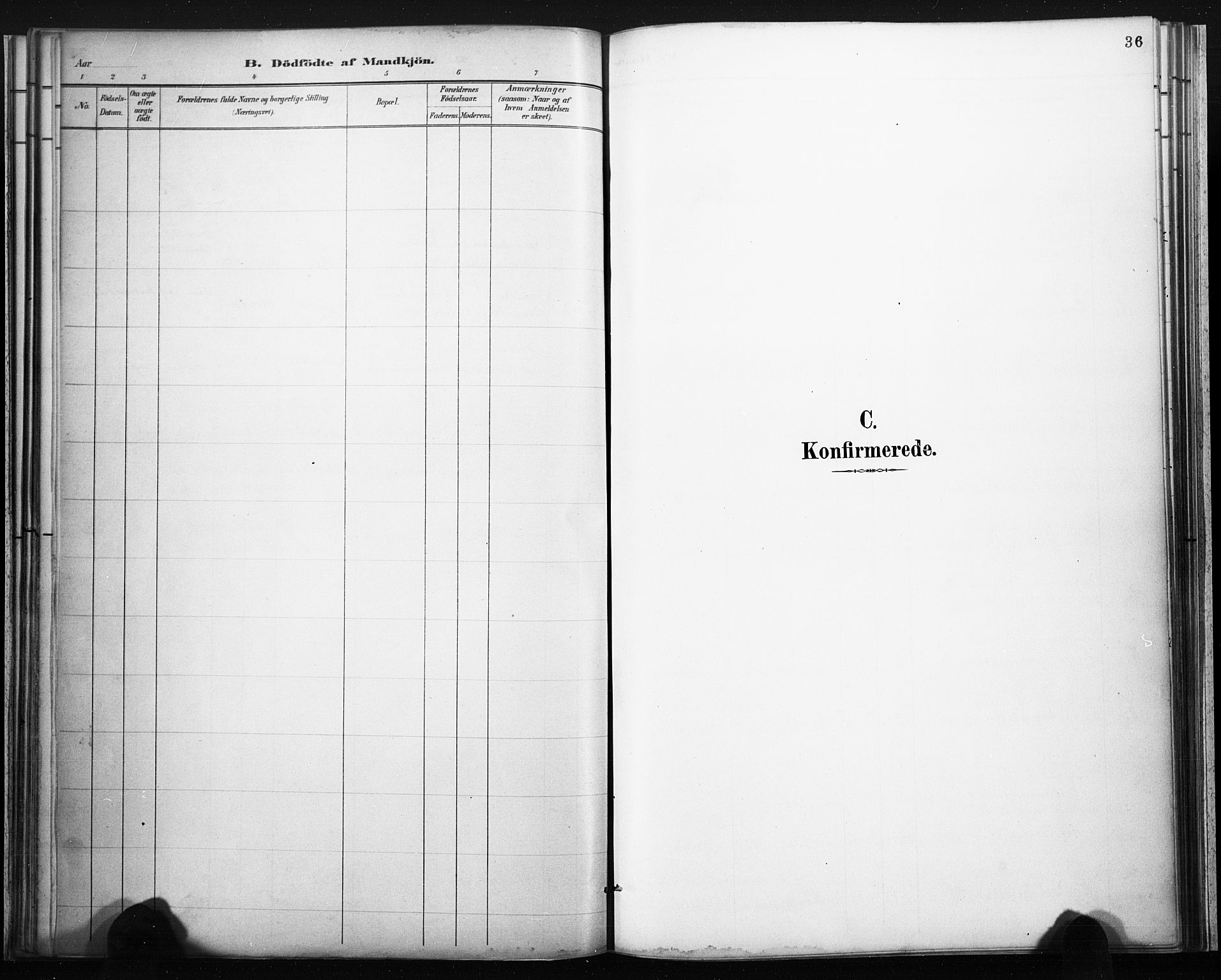 Lårdal kirkebøker, SAKO/A-284/F/Fb/L0002: Parish register (official) no. II 2, 1887-1918, p. 36