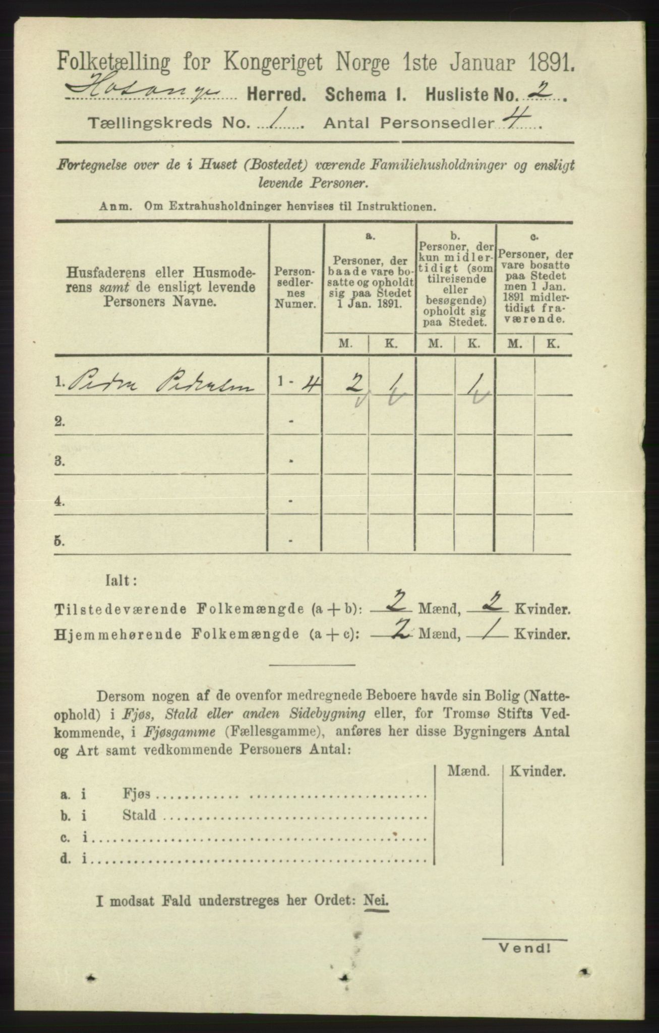 RA, 1891 census for 1253 Hosanger, 1891, p. 31