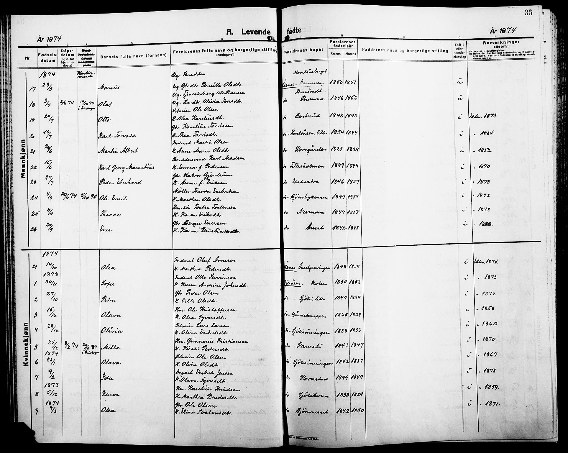 Åsnes prestekontor, AV/SAH-PREST-042/H/Ha/Haa/L0000B: Parish register (official), 1870-1889, p. 35