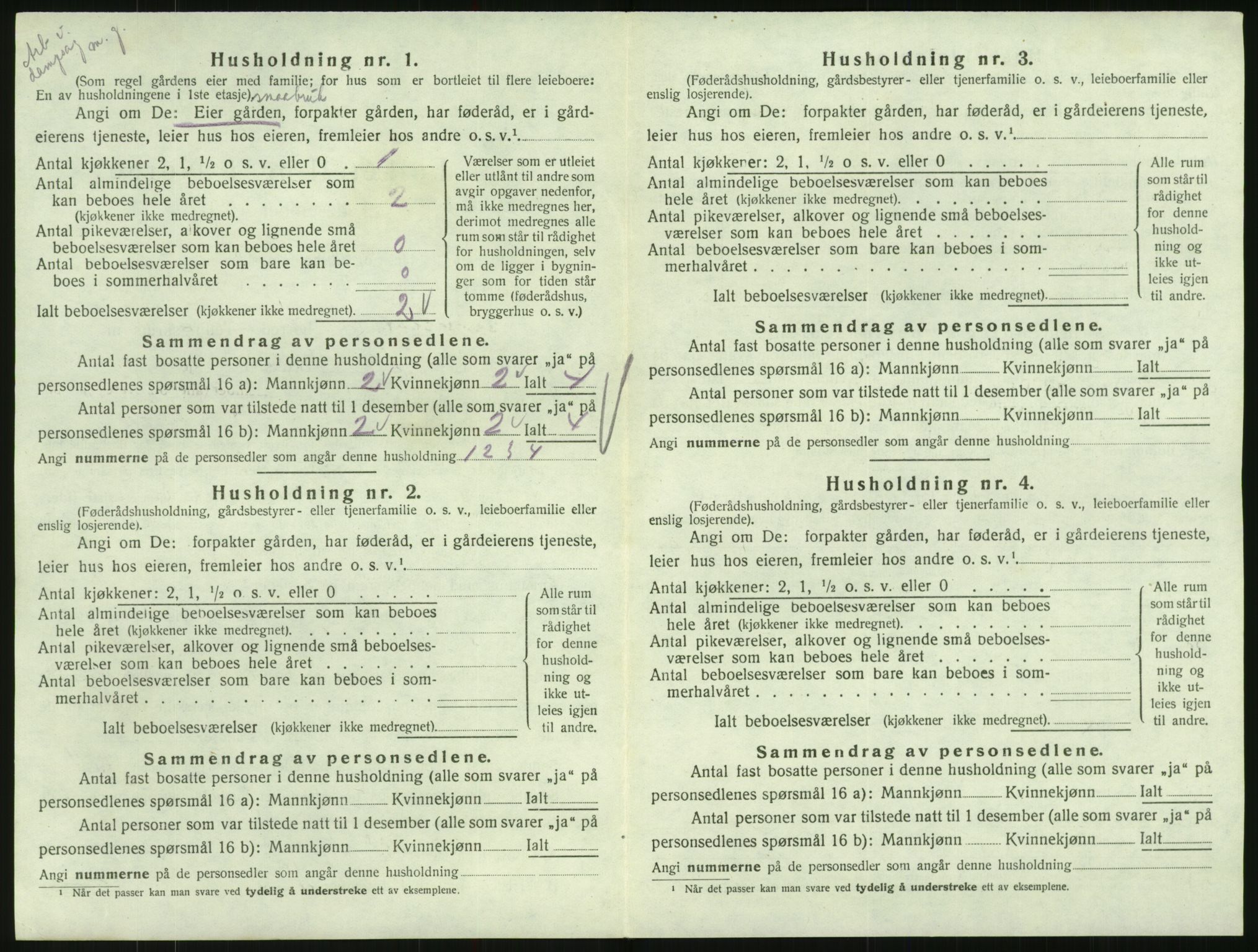 SAK, 1920 census for Hornnes, 1920, p. 80