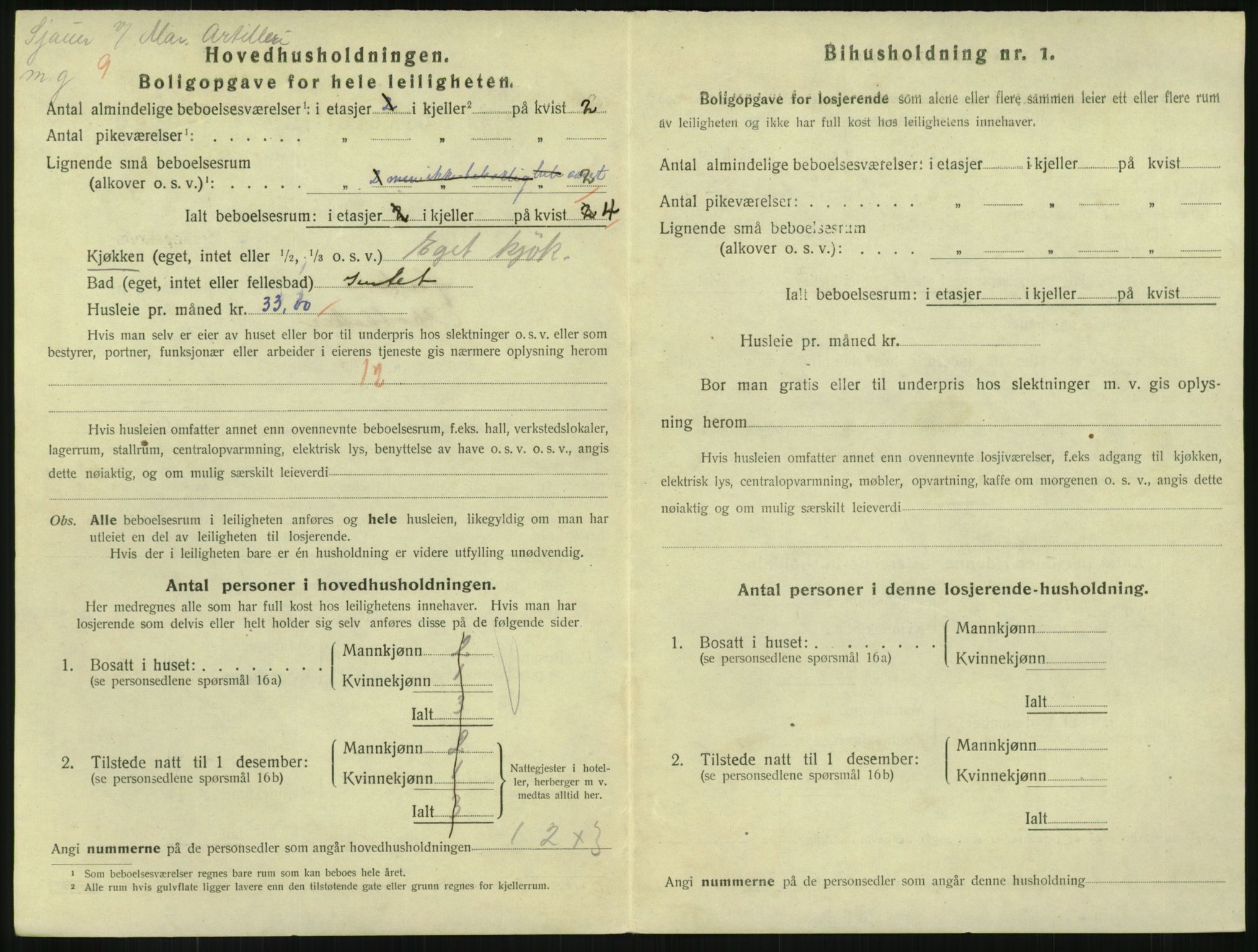 SAKO, 1920 census for Horten, 1920, p. 5294