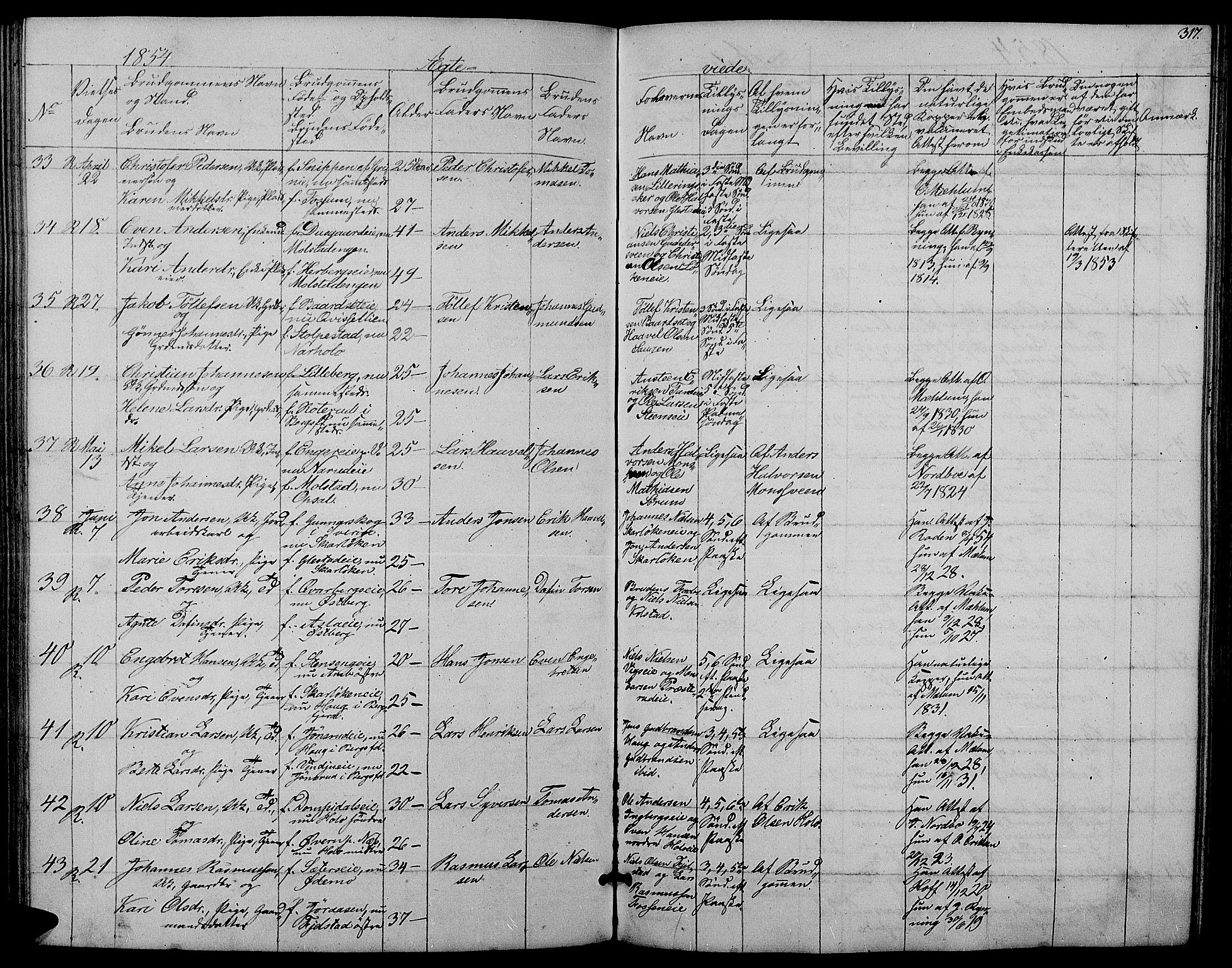 Ringsaker prestekontor, AV/SAH-PREST-014/L/La/L0006: Parish register (copy) no. 6, 1851-1860, p. 317