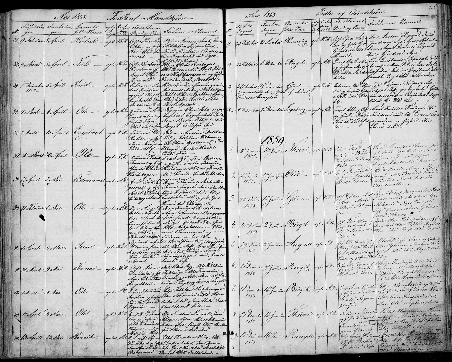 Ål kirkebøker, SAKO/A-249/F/Fa/L0006: Parish register (official) no. I 6, 1849-1864, p. 205