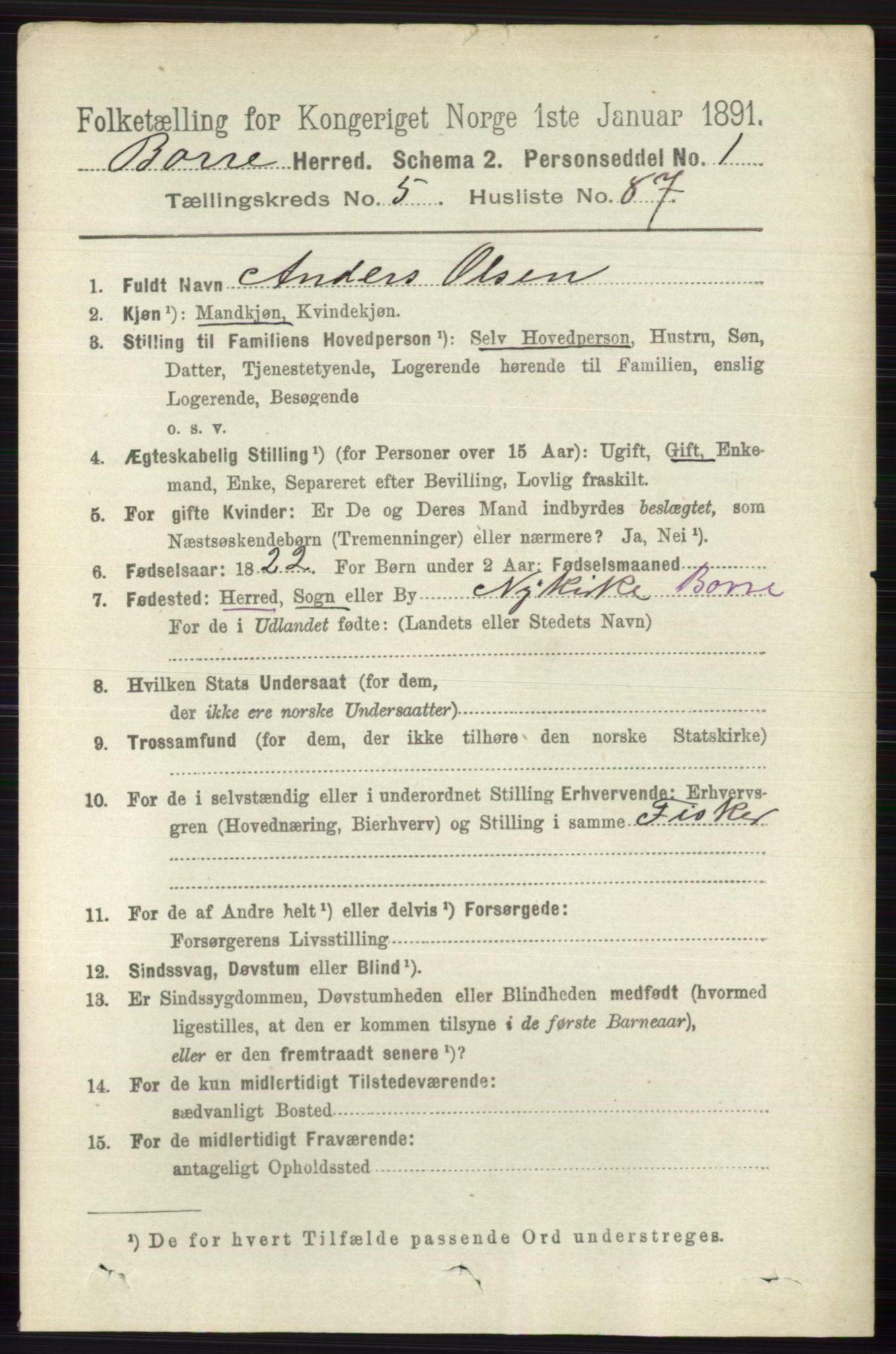 RA, 1891 census for 0717 Borre, 1891, p. 2528