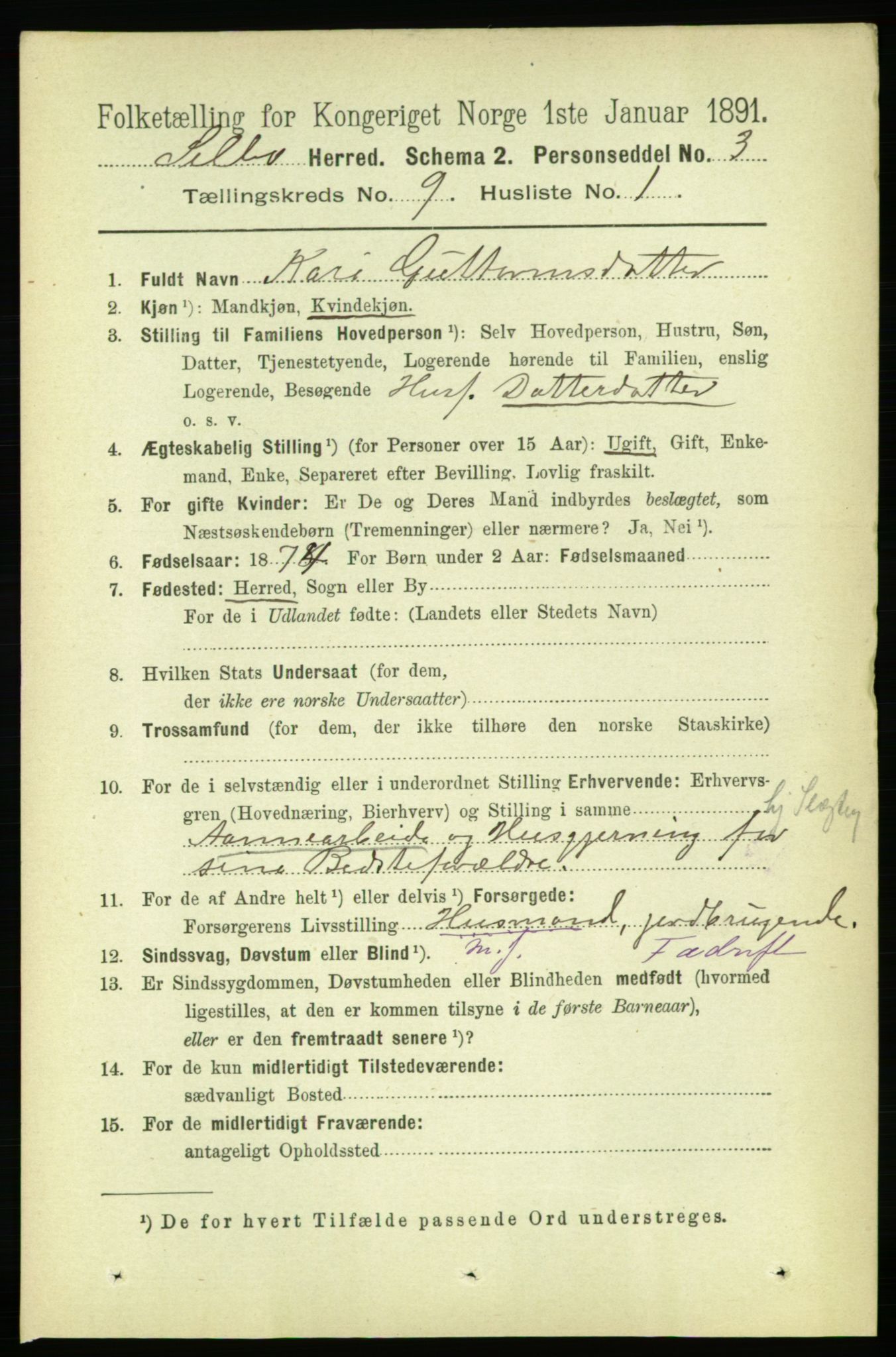 RA, 1891 census for 1664 Selbu, 1891, p. 3351