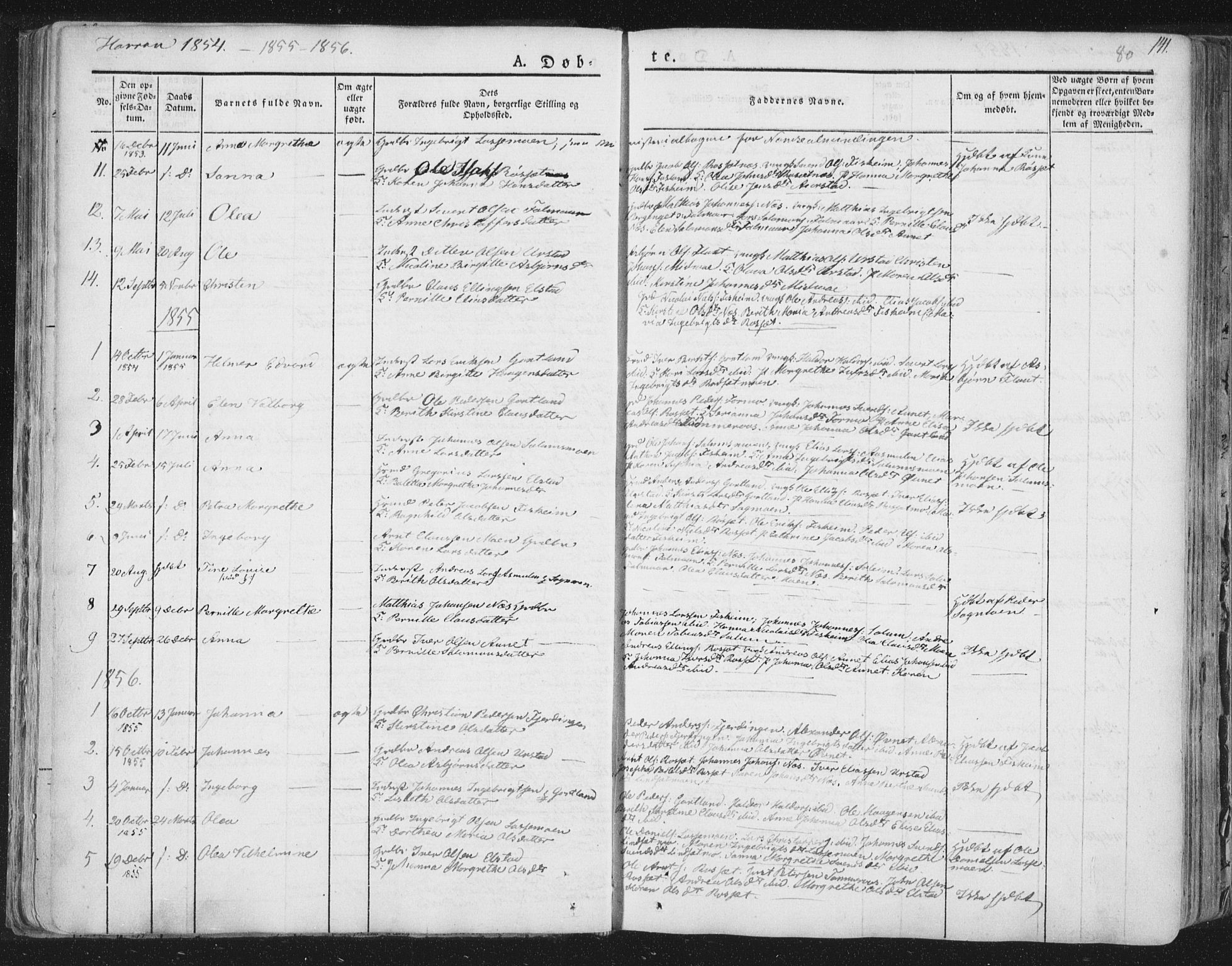 Ministerialprotokoller, klokkerbøker og fødselsregistre - Nord-Trøndelag, AV/SAT-A-1458/758/L0513: Parish register (official) no. 758A02 /3, 1839-1868, p. 80