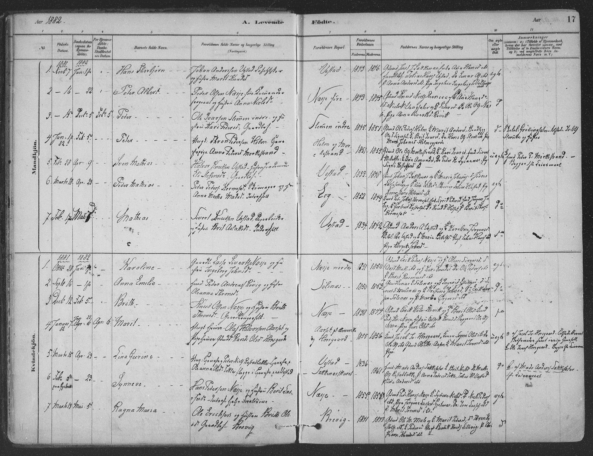 Ministerialprotokoller, klokkerbøker og fødselsregistre - Møre og Romsdal, SAT/A-1454/547/L0604: Parish register (official) no. 547A06, 1878-1906, p. 17