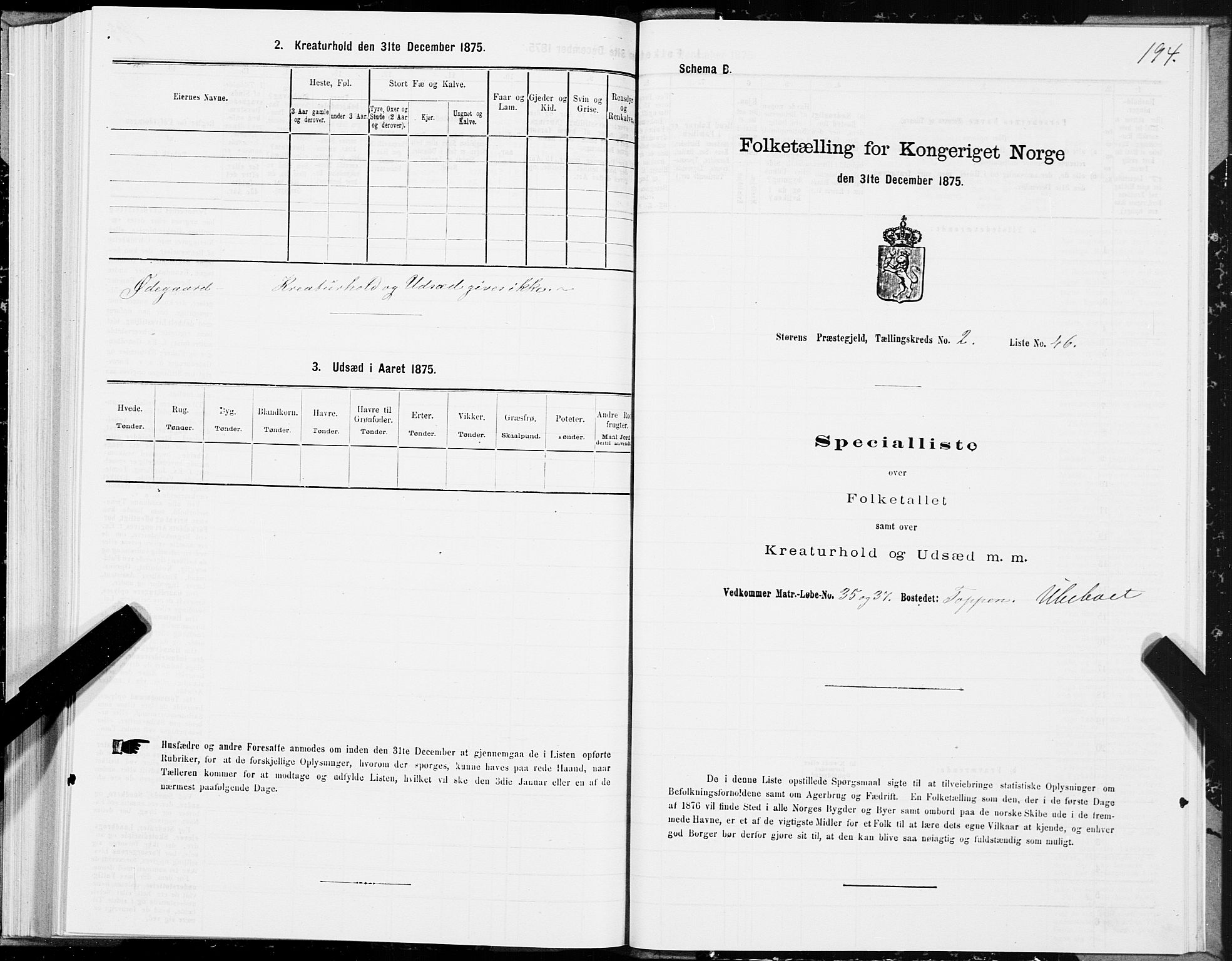 SAT, 1875 census for 1648P Støren, 1875, p. 1194