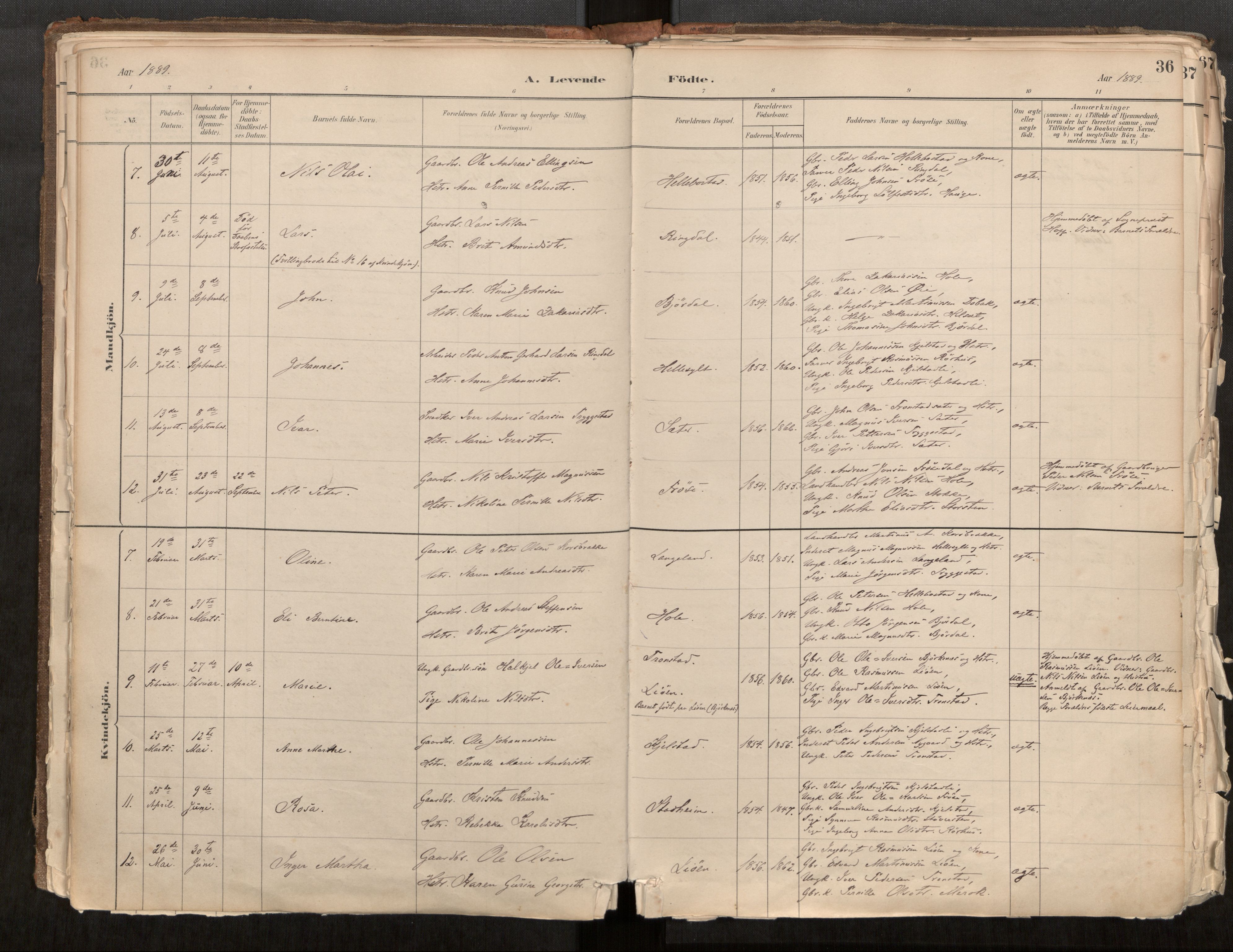 Sunnylven sokneprestkontor, SAT/A-1007: Parish register (official) no. 517A08, 1882-1939, p. 36