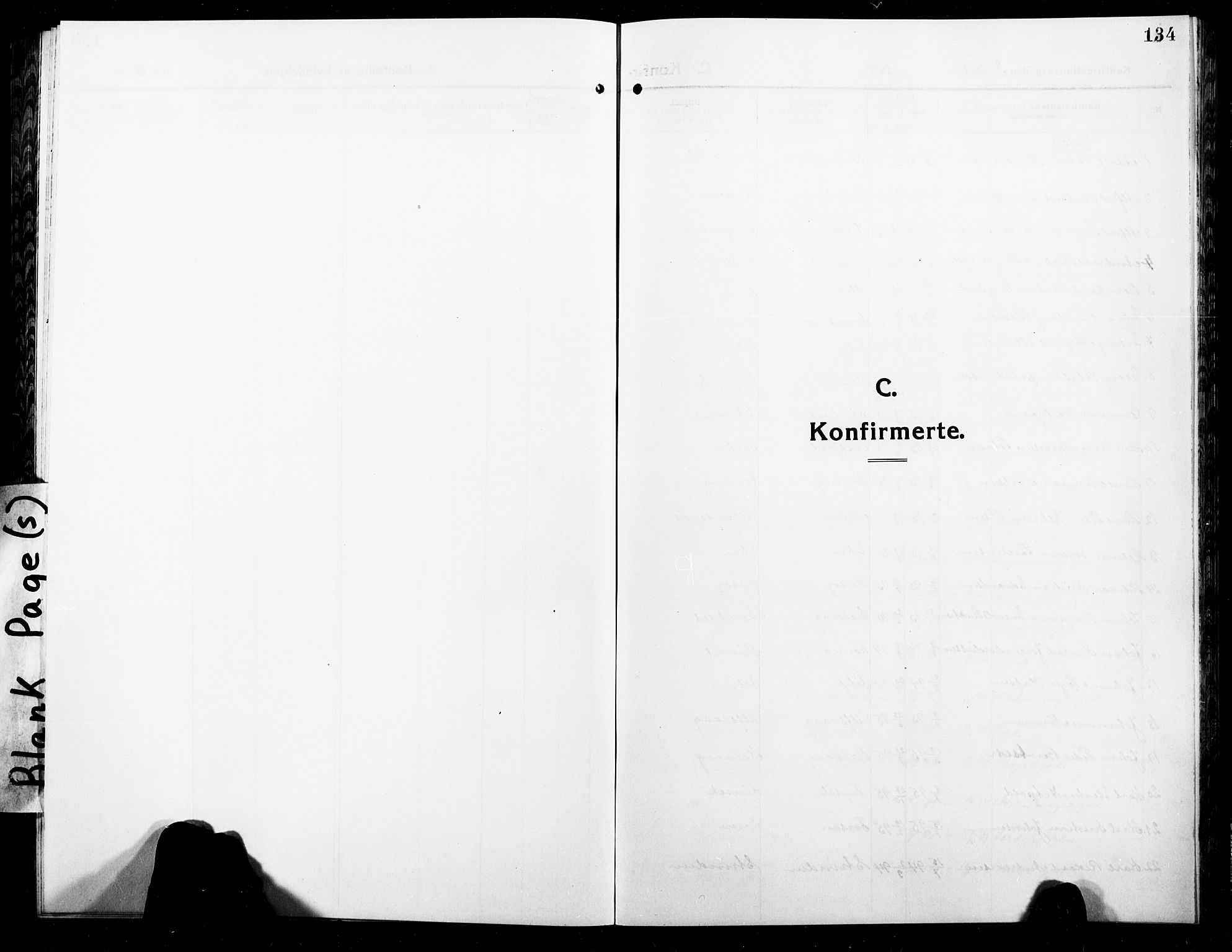 Ministerialprotokoller, klokkerbøker og fødselsregistre - Nordland, SAT/A-1459/859/L0861: Parish register (copy) no. 859C07, 1910-1925, p. 134
