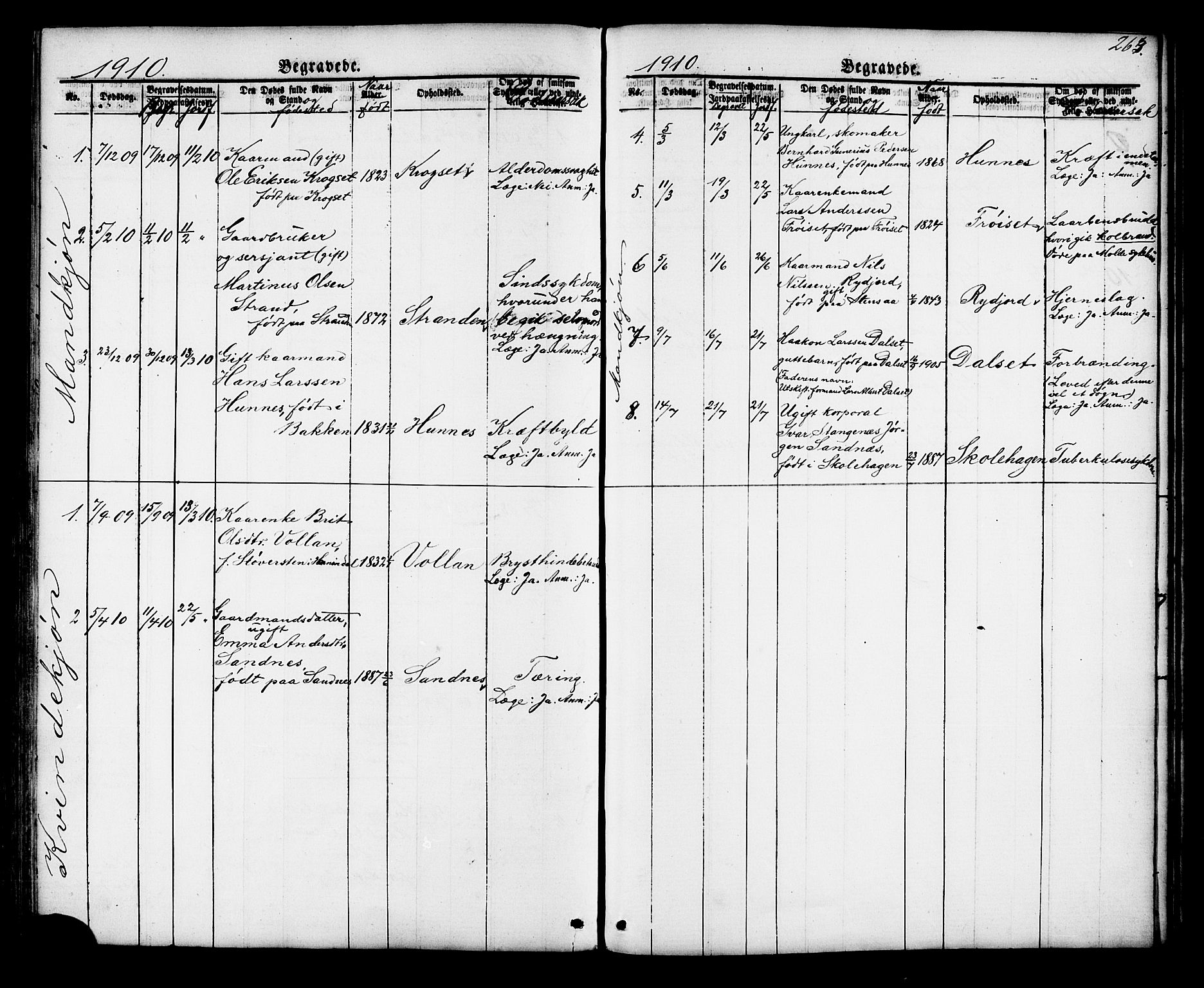 Ministerialprotokoller, klokkerbøker og fødselsregistre - Møre og Romsdal, SAT/A-1454/548/L0614: Parish register (copy) no. 548C02, 1867-1917, p. 263