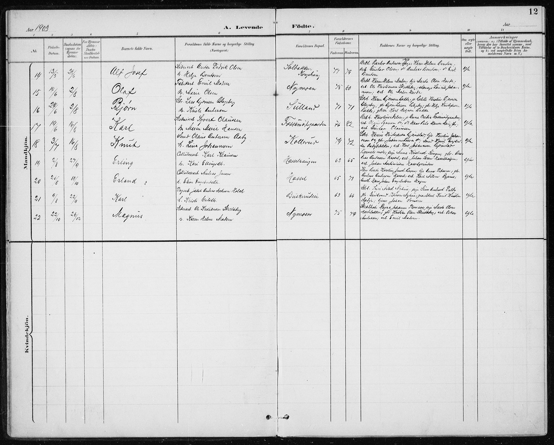 Modum kirkebøker, AV/SAKO-A-234/F/Fa/L0017: Parish register (official) no. 17, 1900-1915, p. 12