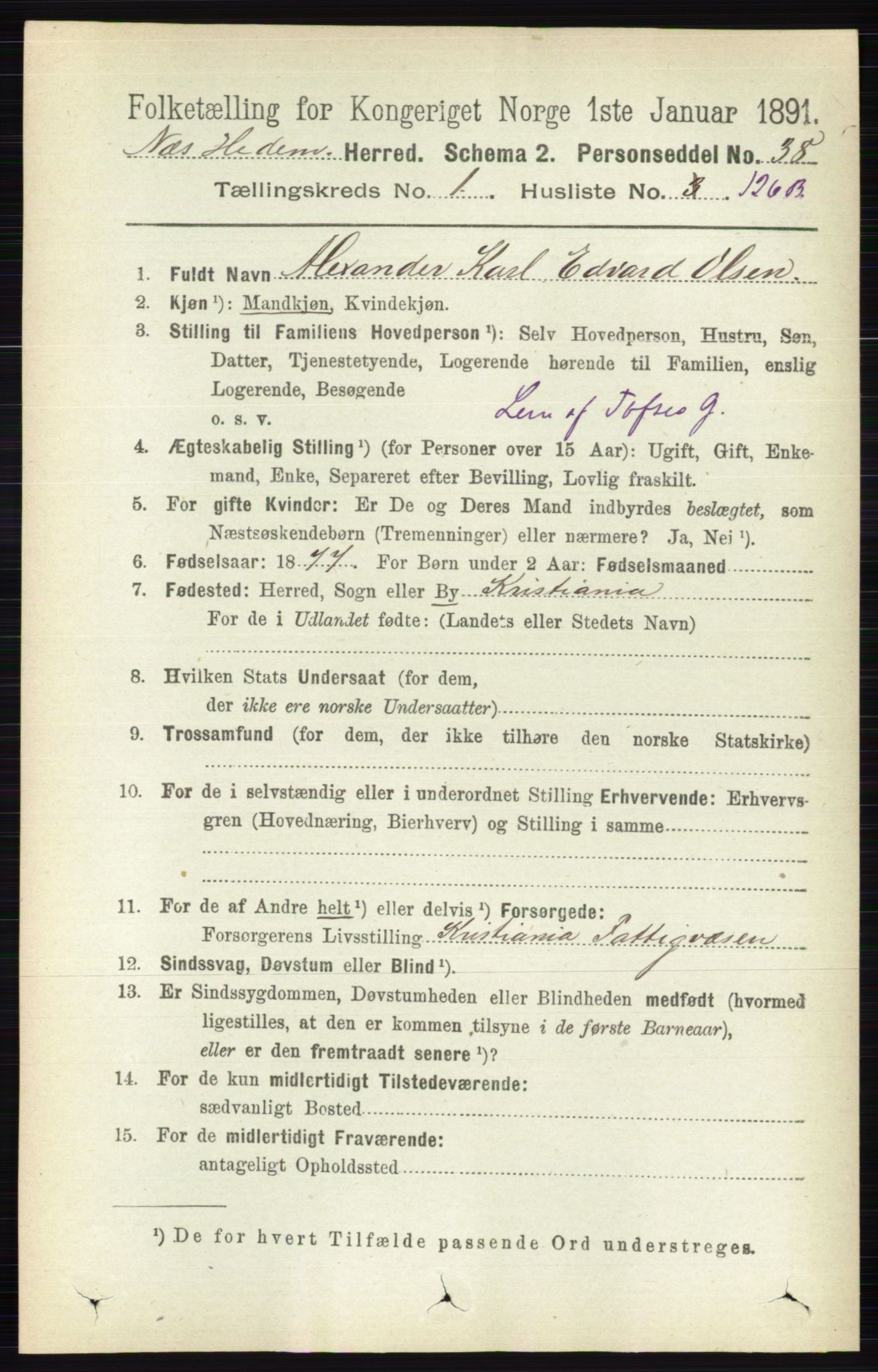 RA, 1891 census for 0411 Nes, 1891, p. 945