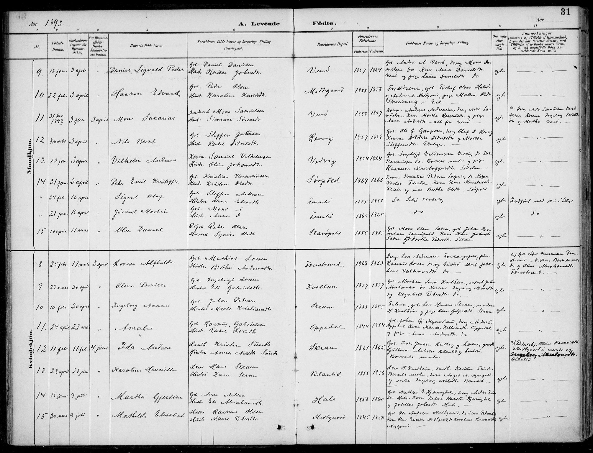 Selje sokneprestembete, AV/SAB-A-99938/H/Ha/Haa/Haac/L0002: Parish register (official) no. C  2, 1889-1904, p. 31