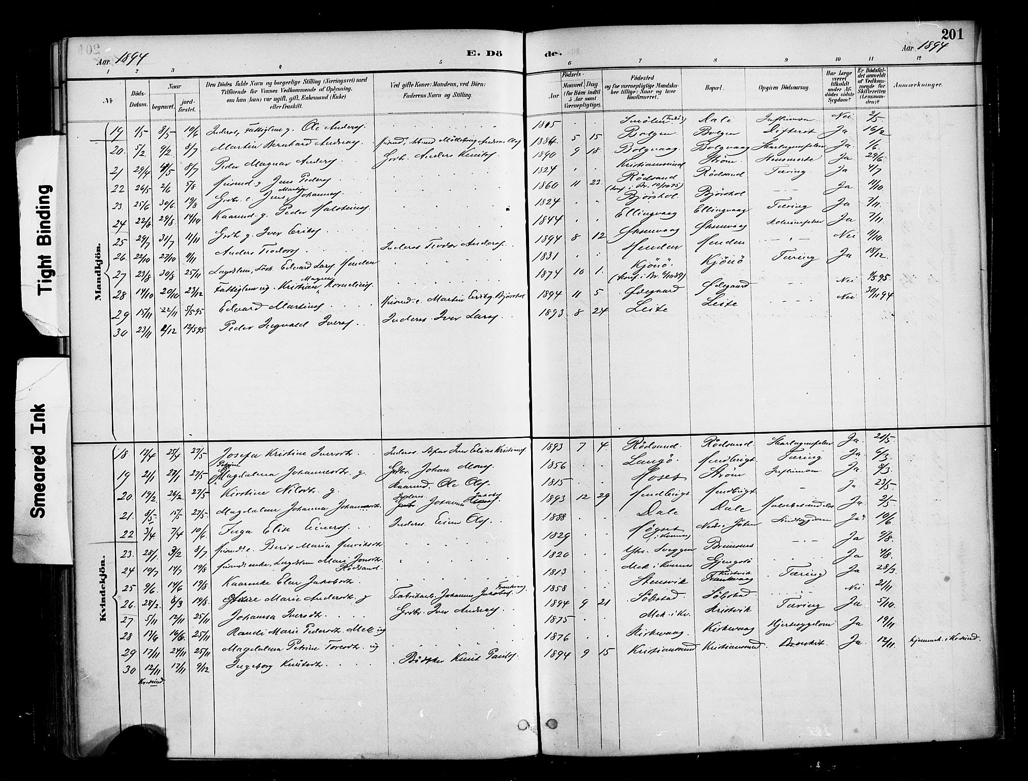 Ministerialprotokoller, klokkerbøker og fødselsregistre - Møre og Romsdal, AV/SAT-A-1454/569/L0819: Parish register (official) no. 569A05, 1885-1899, p. 201