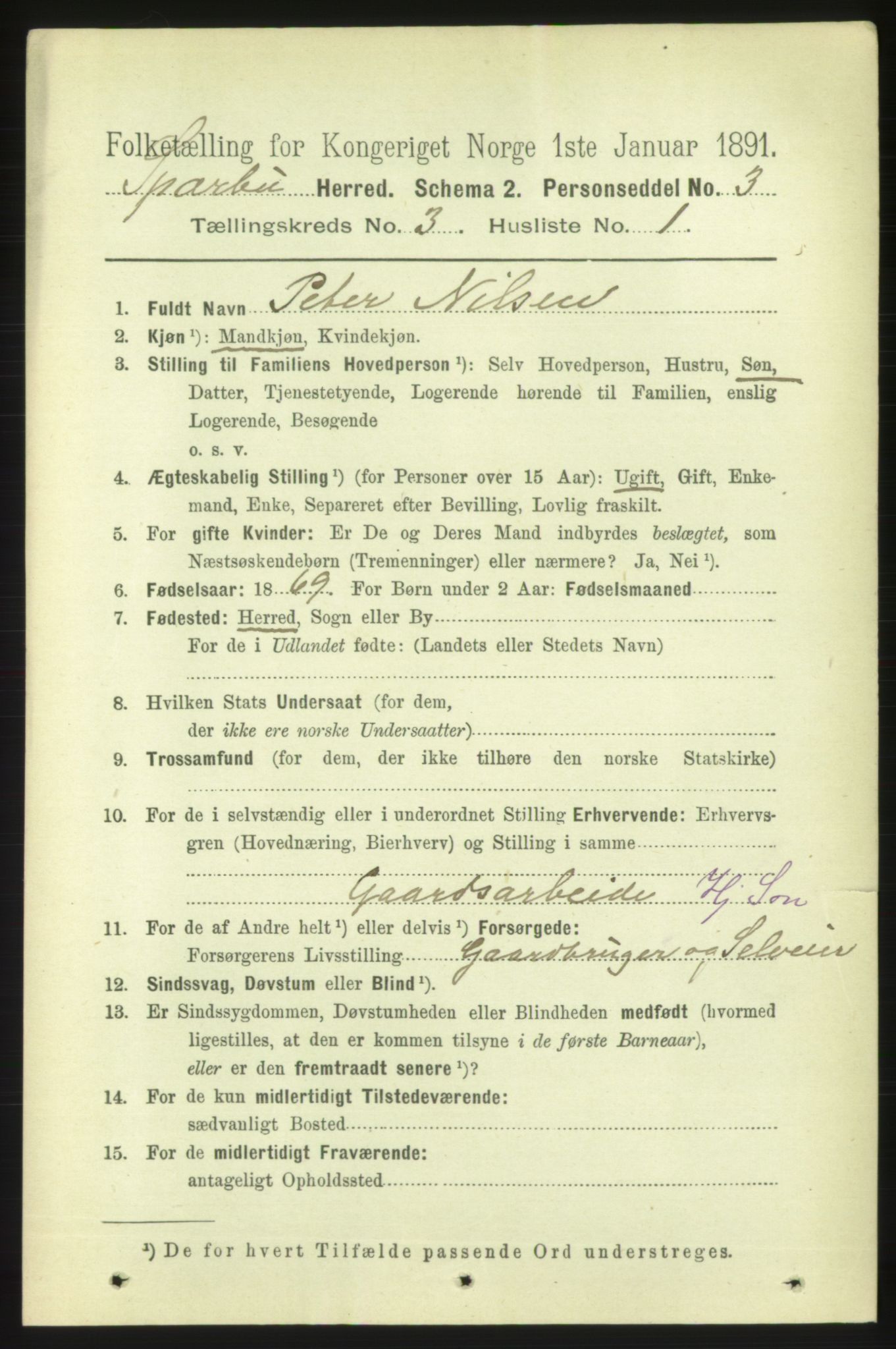 RA, 1891 census for 1731 Sparbu, 1891, p. 882