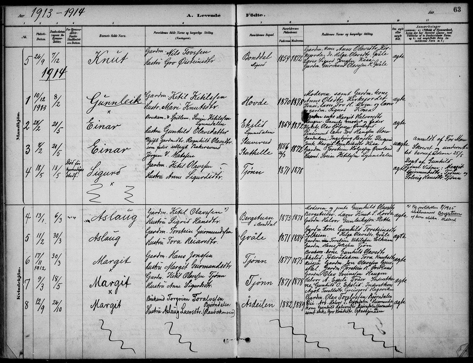Hjartdal kirkebøker, SAKO/A-270/F/Fc/L0002: Parish register (official) no. III 2, 1880-1936, p. 63