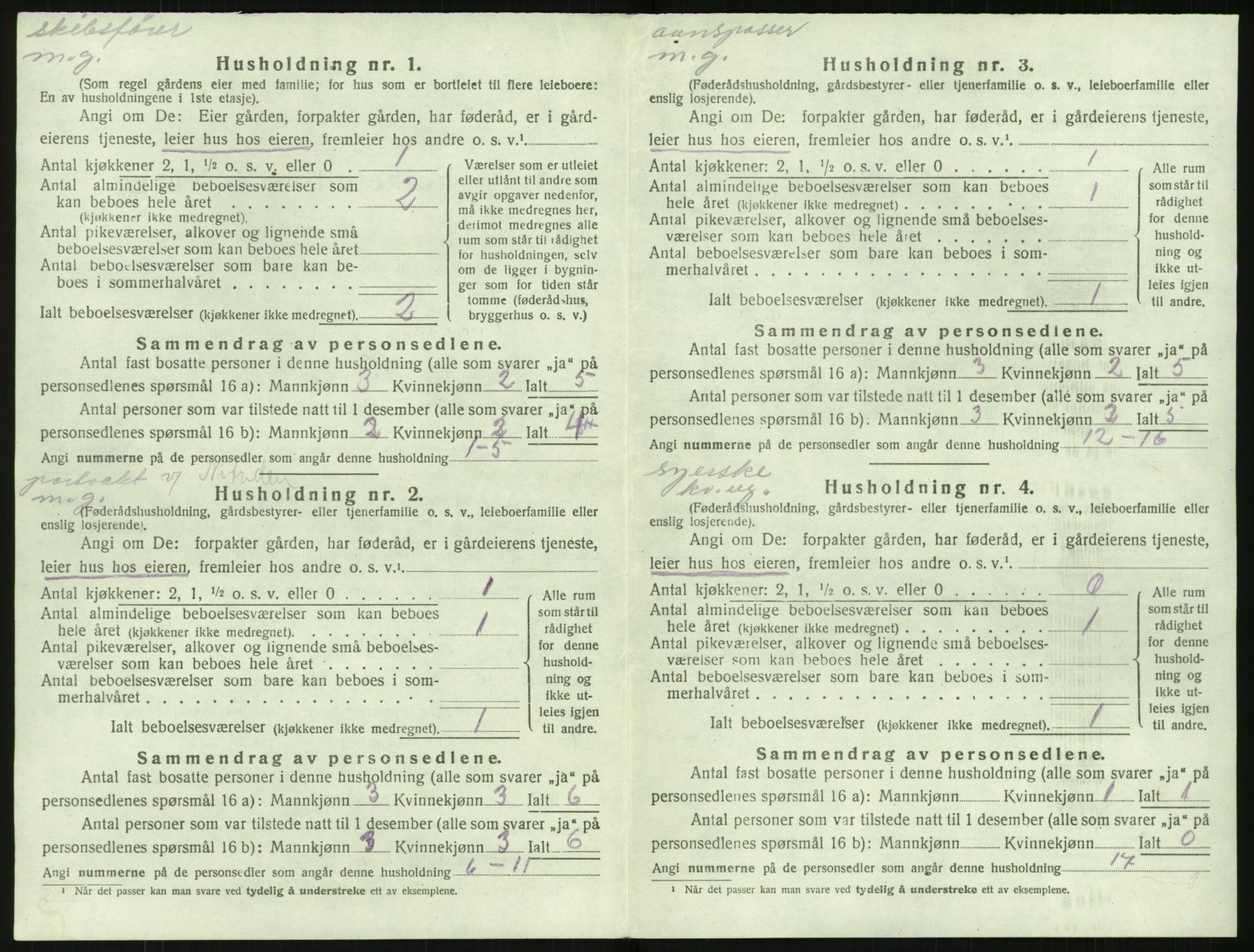 SAK, 1920 census for Stokken, 1920, p. 309