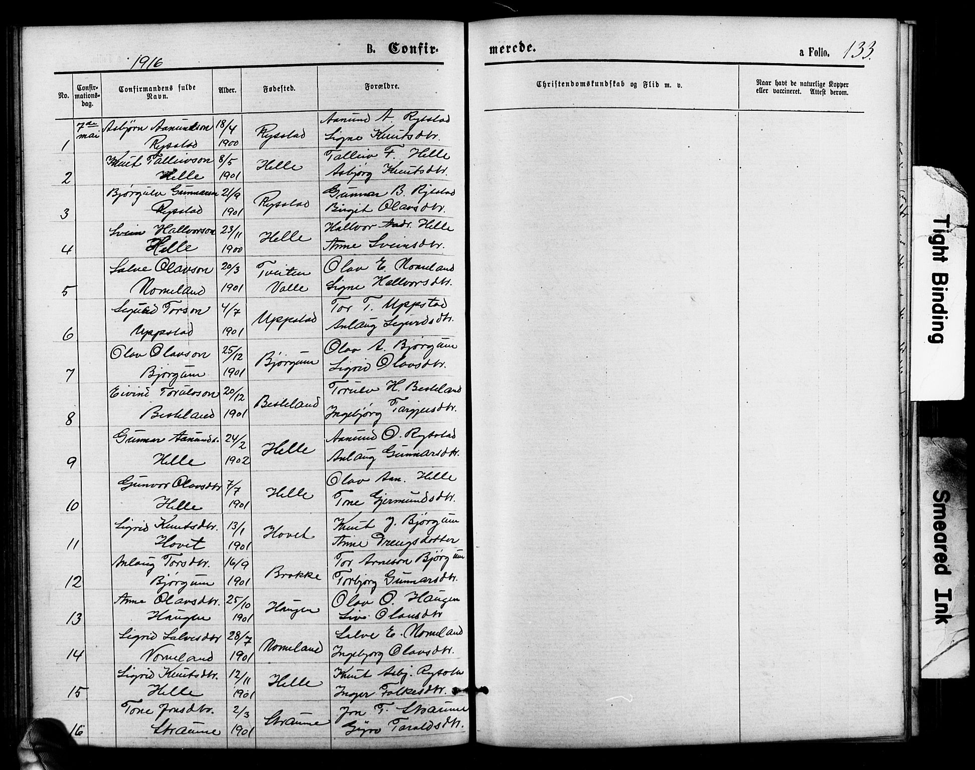 Valle sokneprestkontor, SAK/1111-0044/F/Fb/Fbb/L0002: Parish register (copy) no. B 2, 1875-1921, p. 133
