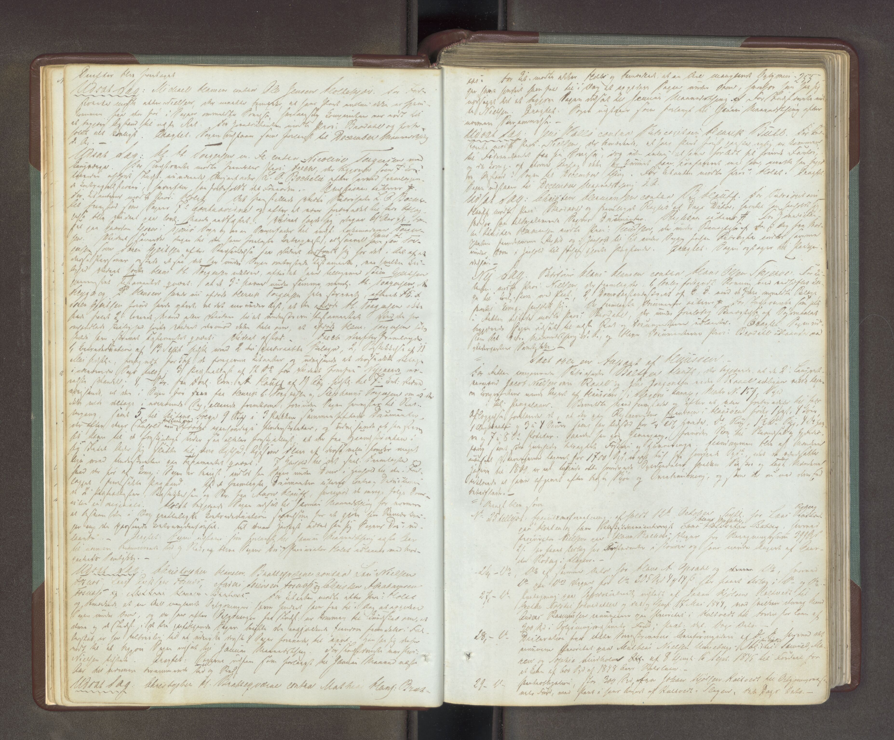 Søndre Jarlsberg sorenskriveri, AV/SAKO-A-129/F/Fa/L0034B: Tingbok, 1850-1856, p. 254b-255a