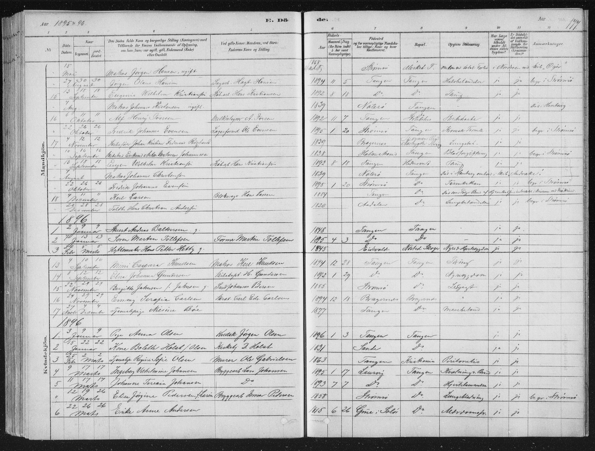 Strømsø kirkebøker, AV/SAKO-A-246/F/Fb/L0005: Parish register (official) no. II 5, 1877-1902, p. 177