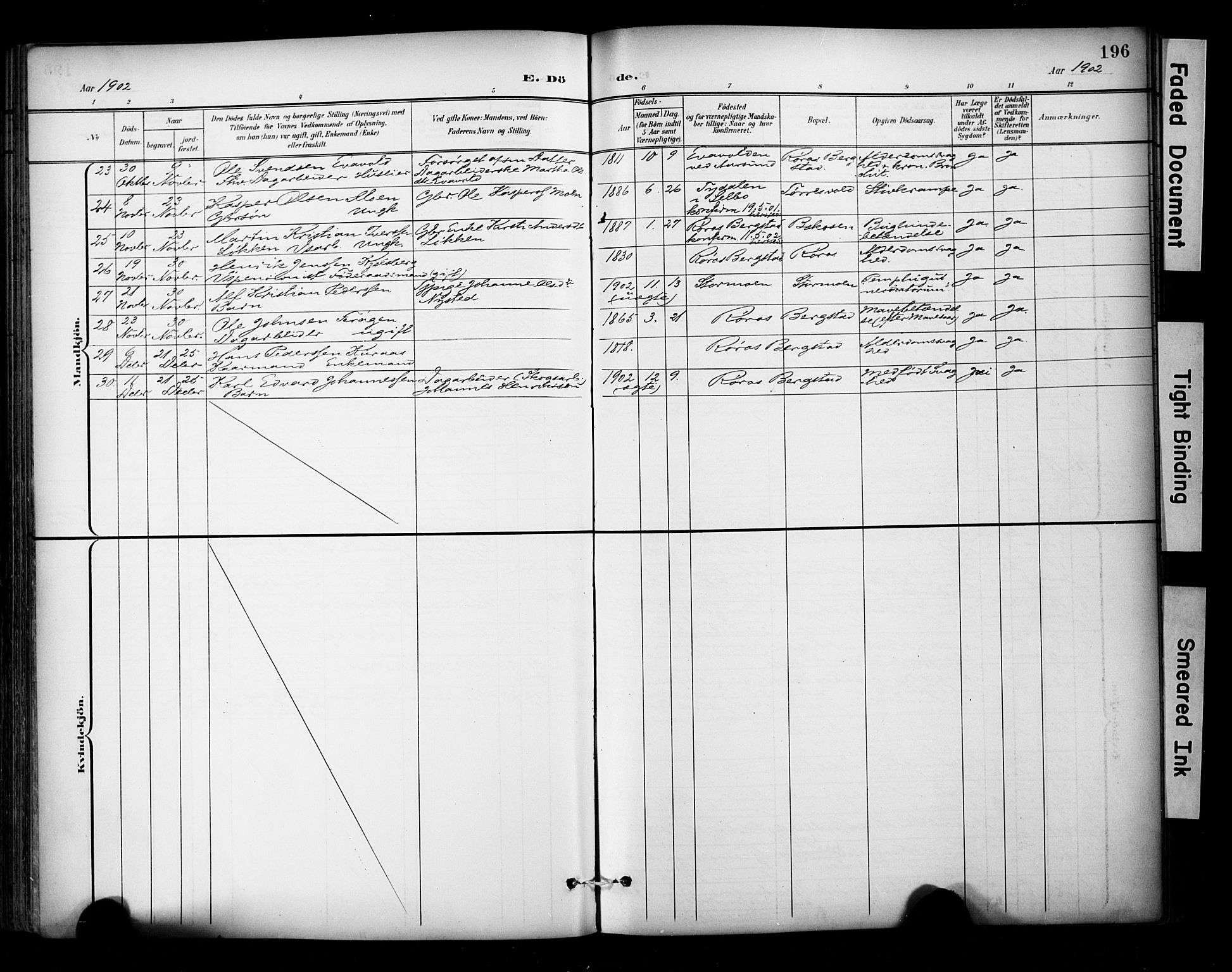 Ministerialprotokoller, klokkerbøker og fødselsregistre - Sør-Trøndelag, AV/SAT-A-1456/681/L0936: Parish register (official) no. 681A14, 1899-1908, p. 196