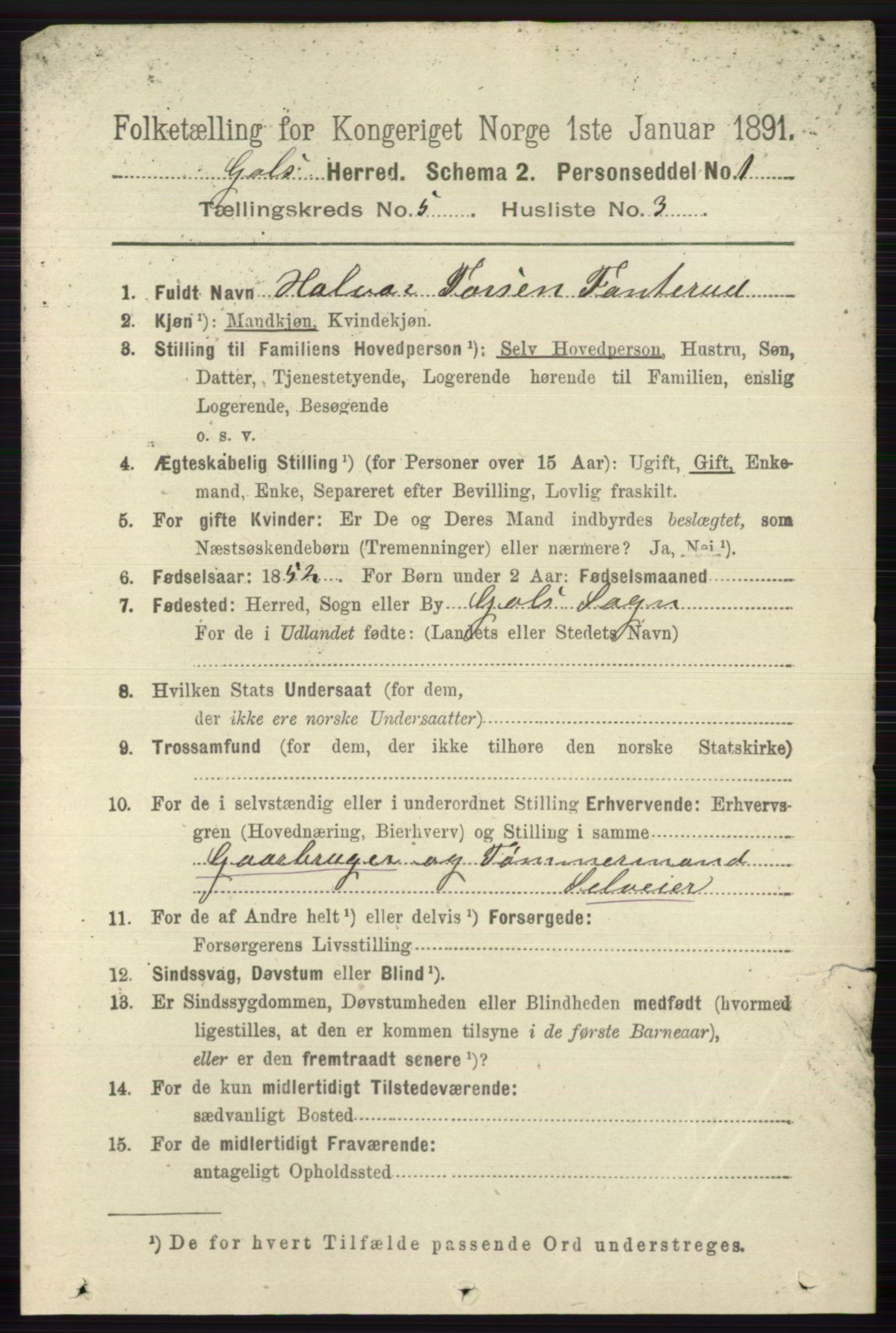 RA, 1891 census for 0617 Gol og Hemsedal, 1891, p. 2317