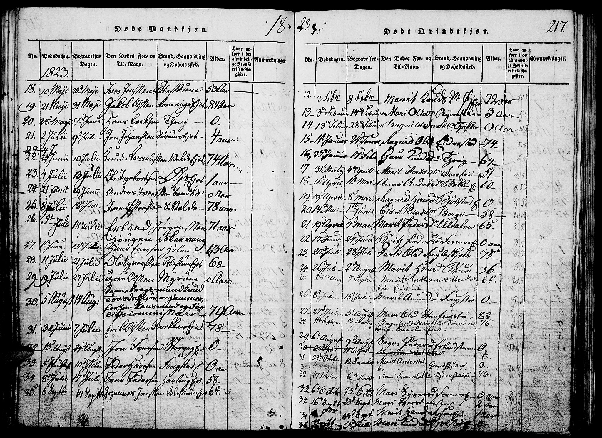 Vågå prestekontor, SAH/PREST-076/H/Ha/Hab/L0001: Parish register (copy) no. 1, 1815-1827, p. 216-217