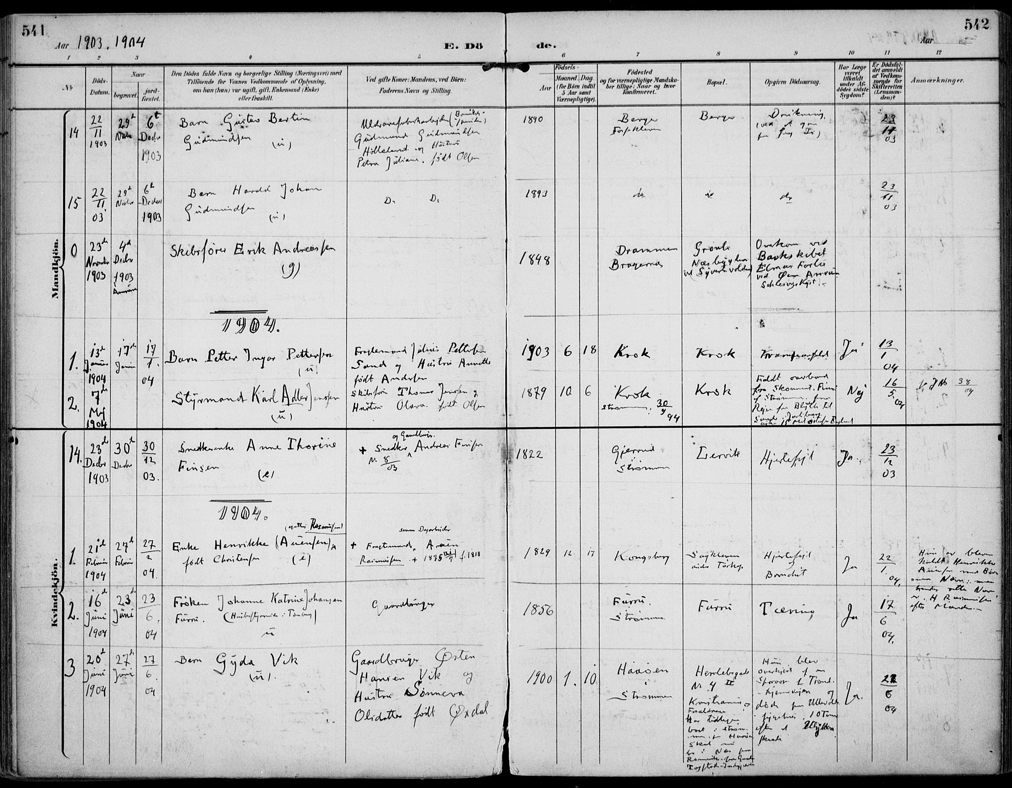 Strømm kirkebøker, SAKO/A-322/F/Fa/L0005: Parish register (official) no. I 5, 1898-1919, p. 541-542