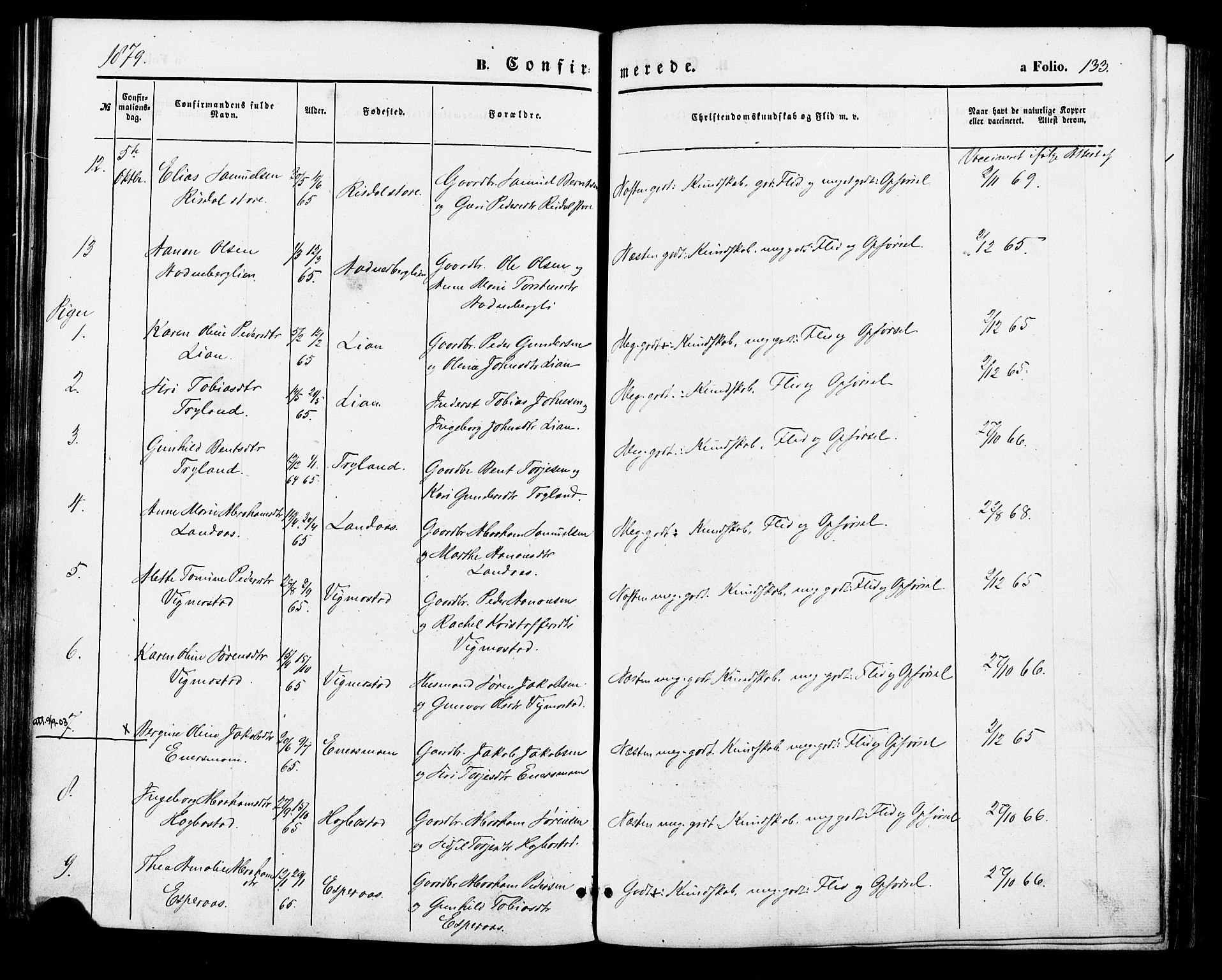 Nord-Audnedal sokneprestkontor, AV/SAK-1111-0032/F/Fa/Fab/L0002: Parish register (official) no. A 2, 1859-1882, p. 133