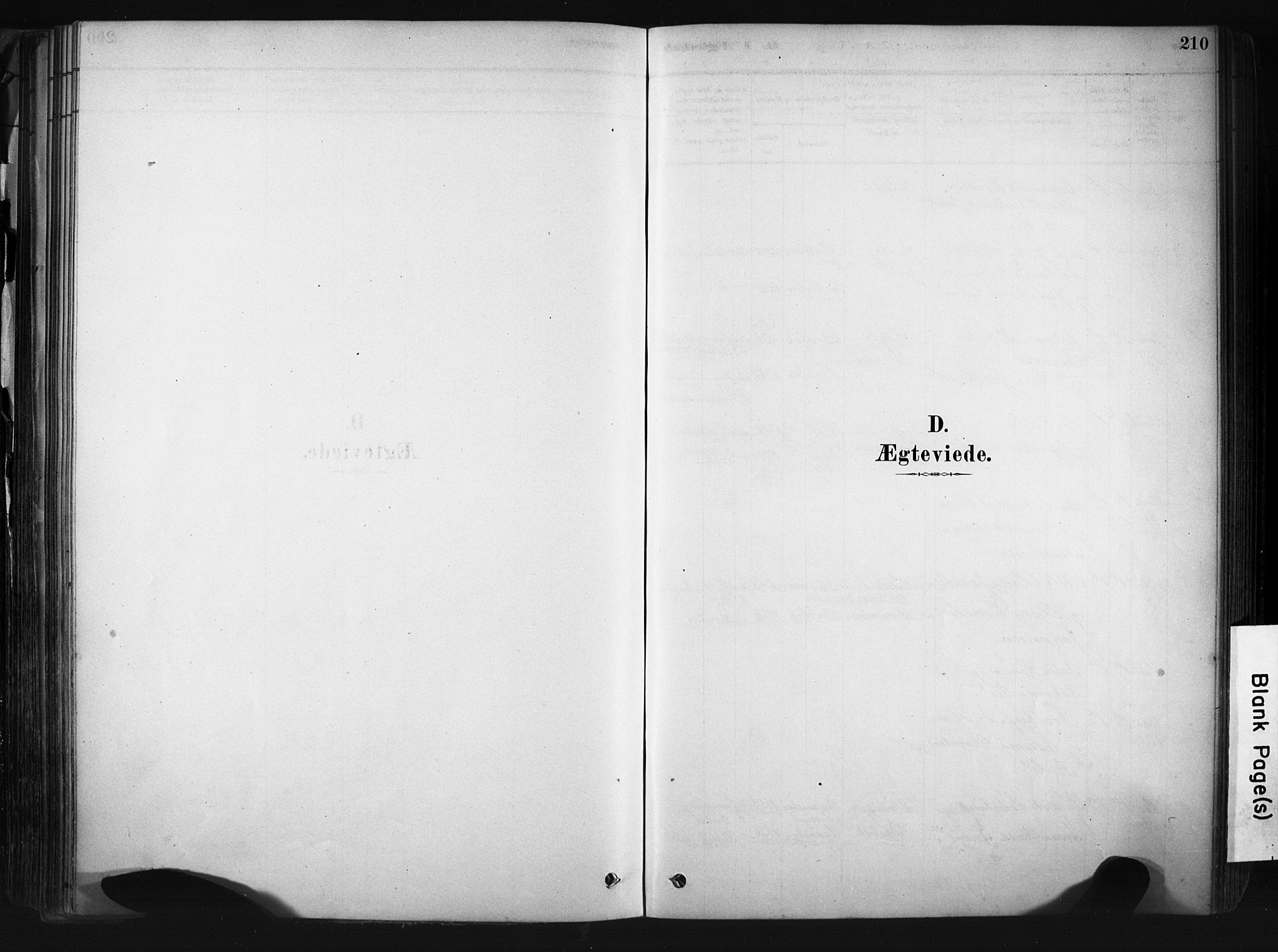 Drøbak prestekontor Kirkebøker, SAO/A-10142a/F/Fb/L0001: Parish register (official) no. II 1, 1878-1891, p. 210