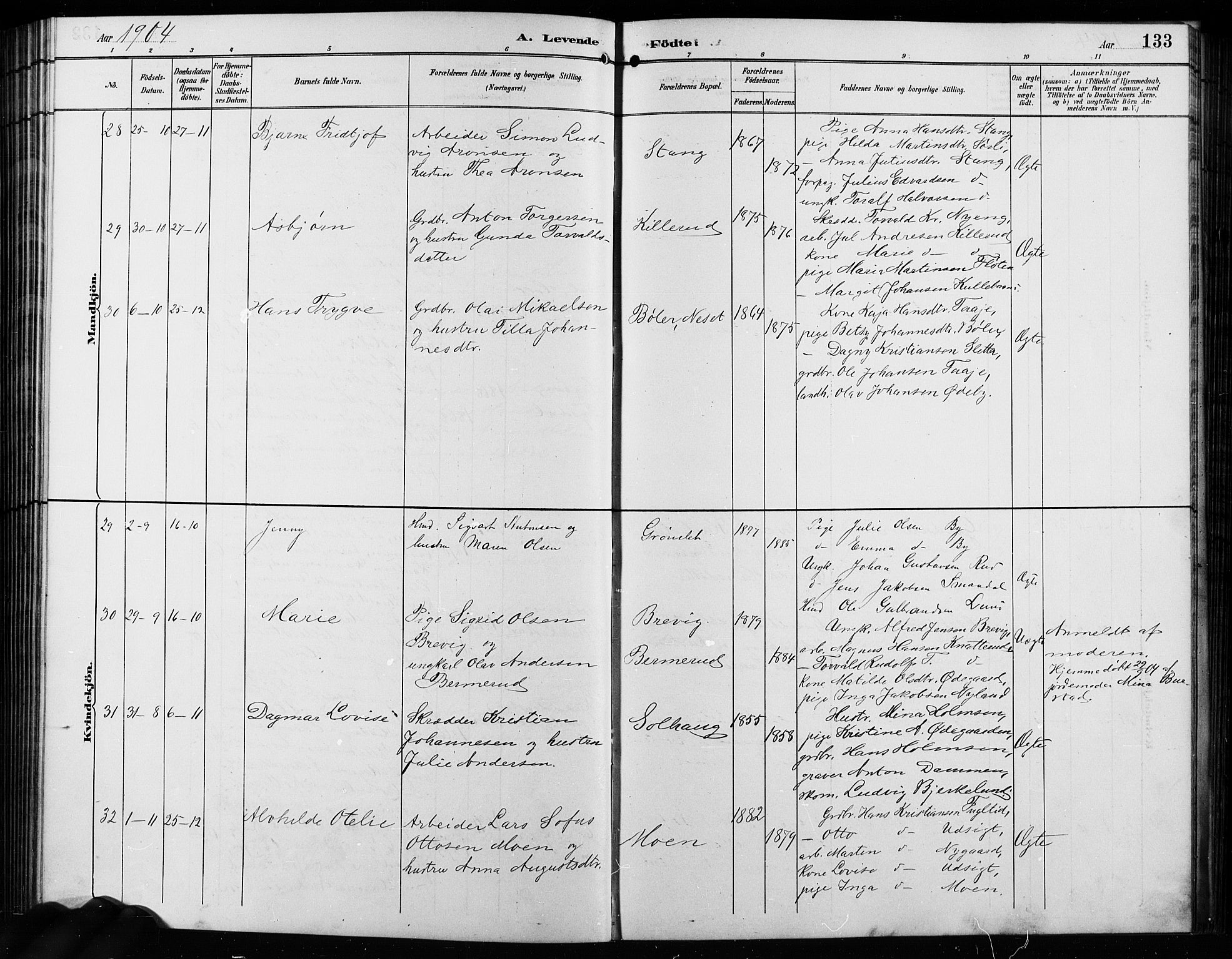 Enebakk prestekontor Kirkebøker, AV/SAO-A-10171c/G/Ga/L0006: Parish register (copy) no. I 6, 1889-1911, p. 133