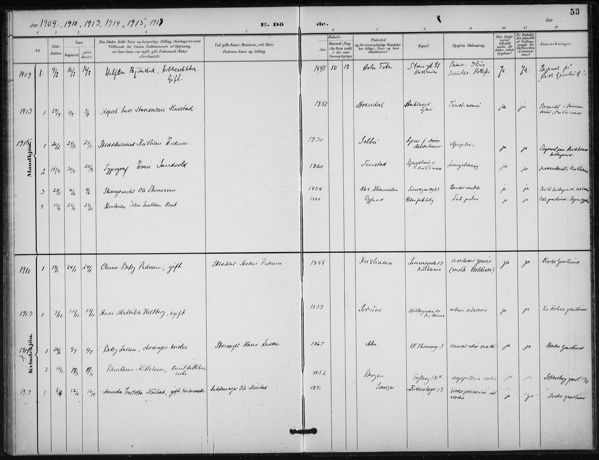 Døves menighet Oslo prestekontor kirkebøker, AV/SAO-A-11064/F/L0001: Parish register (official) no. 1, 1895-1919, p. 53