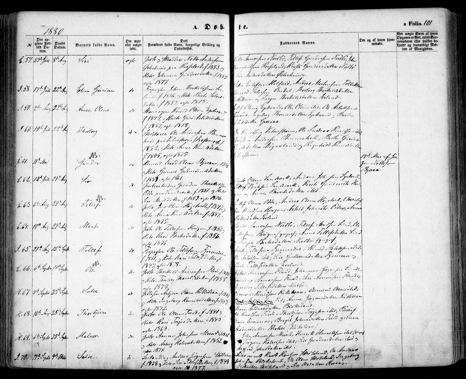 Evje sokneprestkontor, AV/SAK-1111-0008/F/Fa/Faa/L0006: Parish register (official) no. A 6, 1866-1884, p. 101