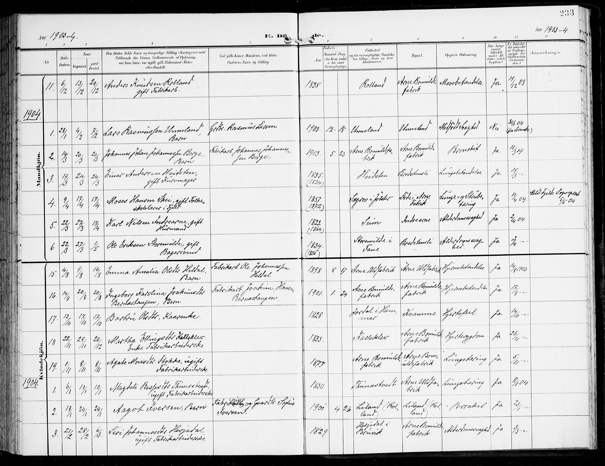 Haus sokneprestembete, AV/SAB-A-75601/H/Haa: Parish register (official) no. D 2, 1899-1912, p. 233