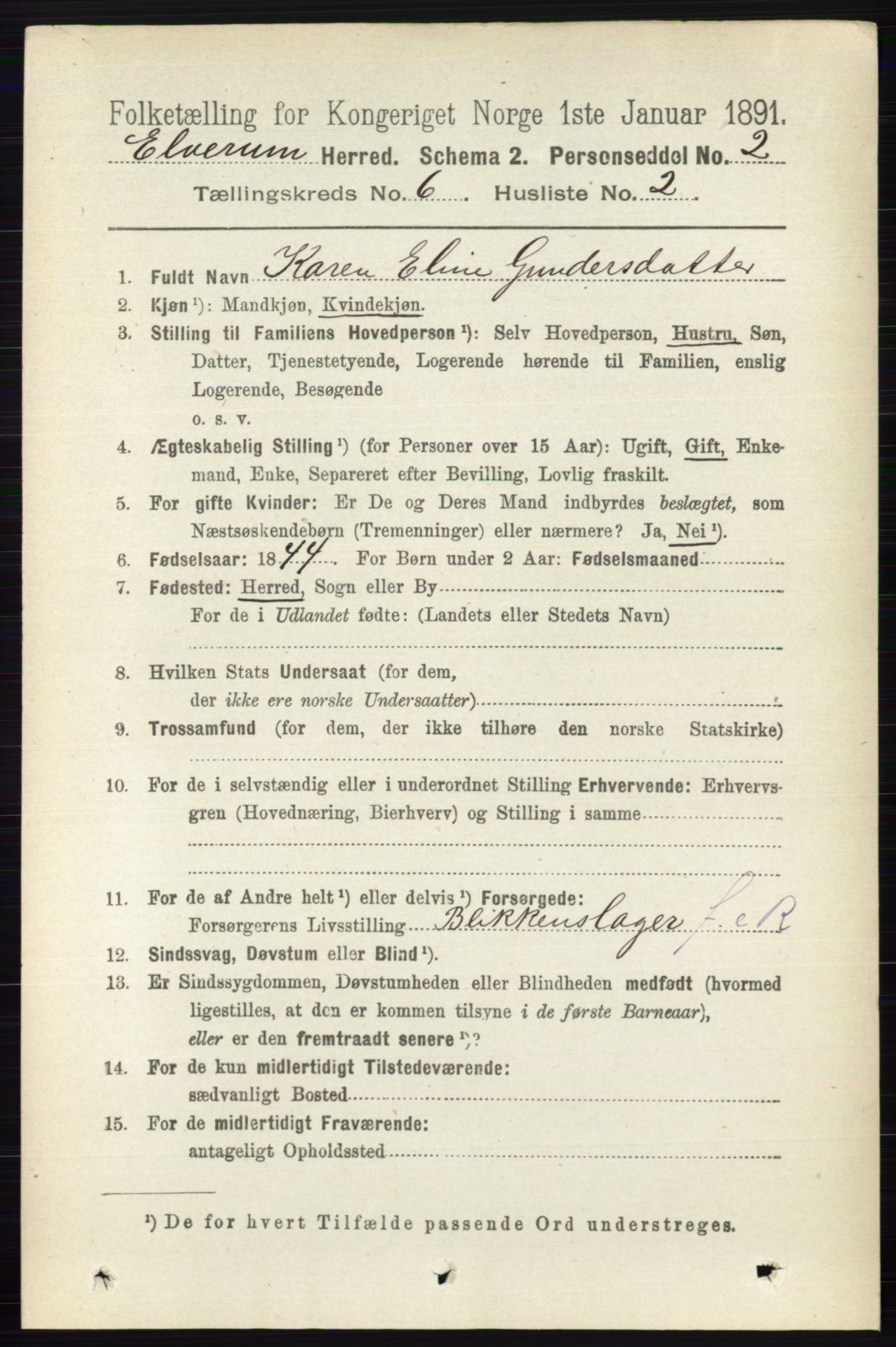 RA, 1891 census for 0427 Elverum, 1891, p. 4359