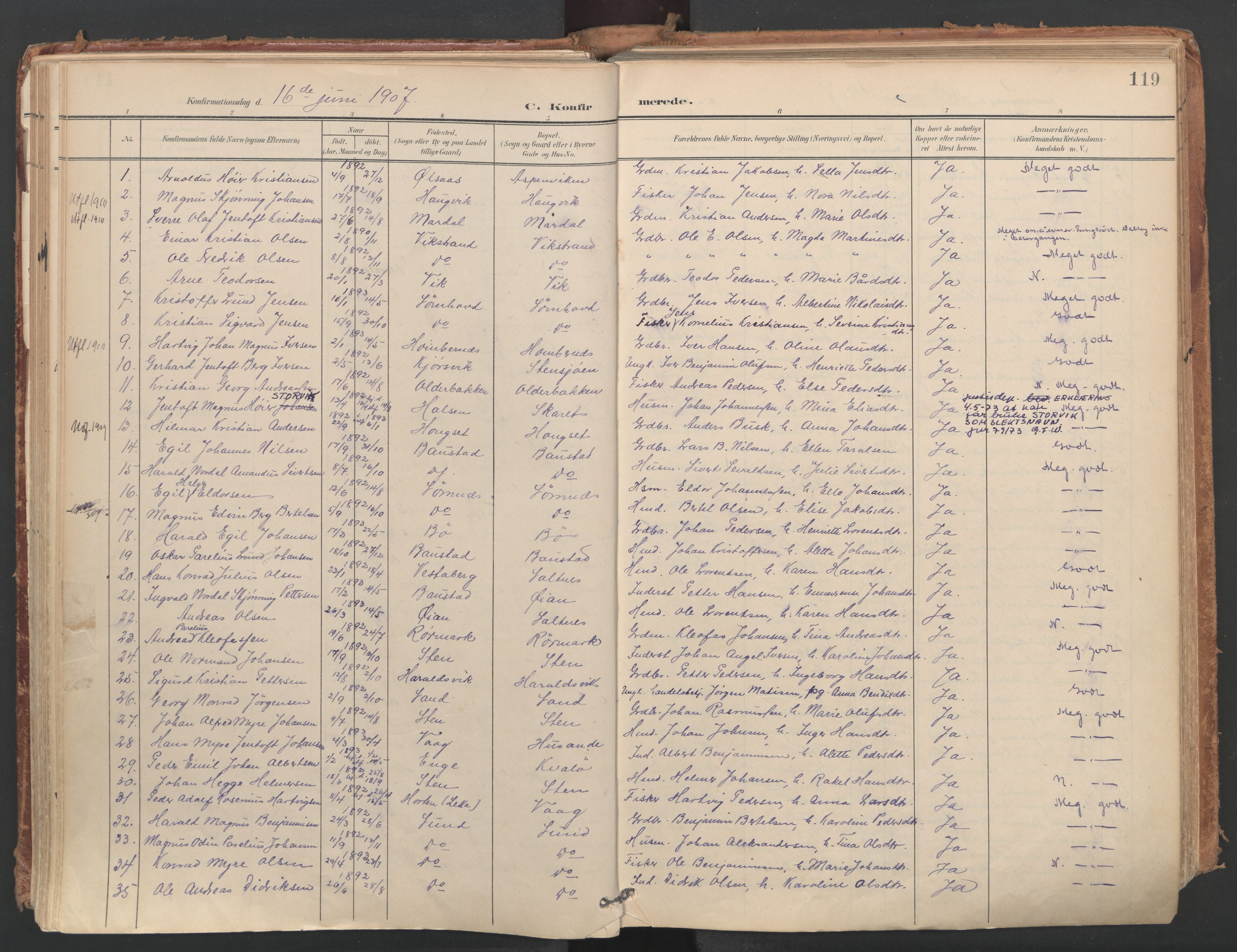 Ministerialprotokoller, klokkerbøker og fødselsregistre - Nordland, AV/SAT-A-1459/812/L0180: Parish register (official) no. 812A09, 1901-1915, p. 119