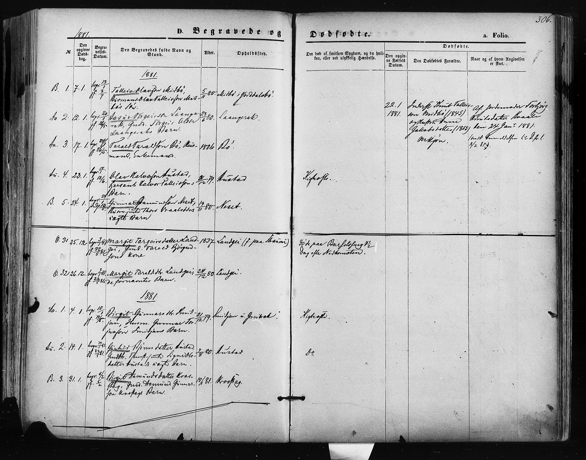 Bygland sokneprestkontor, SAK/1111-0006/F/Fa/Fab/L0006: Parish register (official) no. A 6, 1873-1884, p. 306