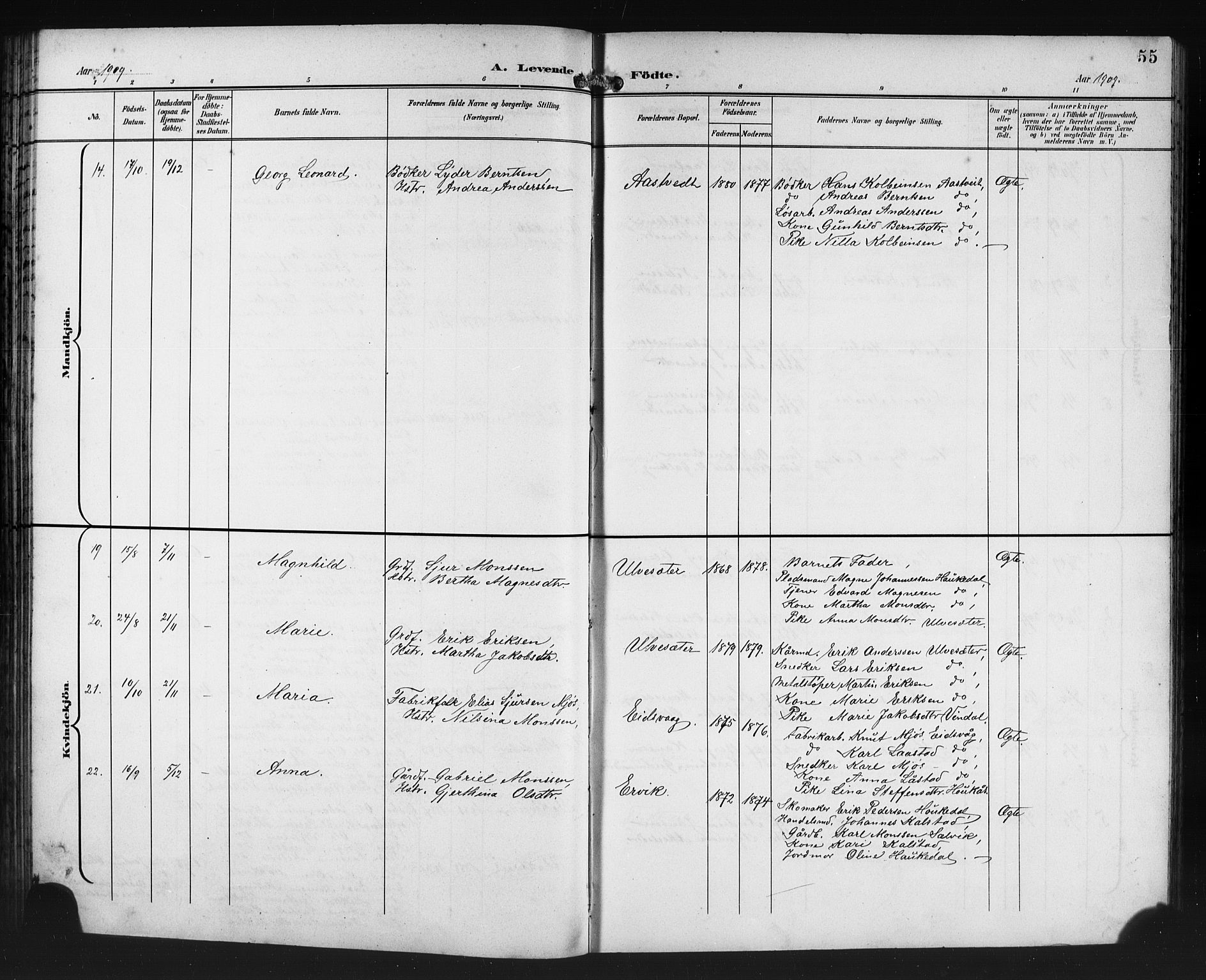 Åsane sokneprestembete, SAB/A-79401/H/Hab: Parish register (copy) no. A 3, 1899-1915, p. 55