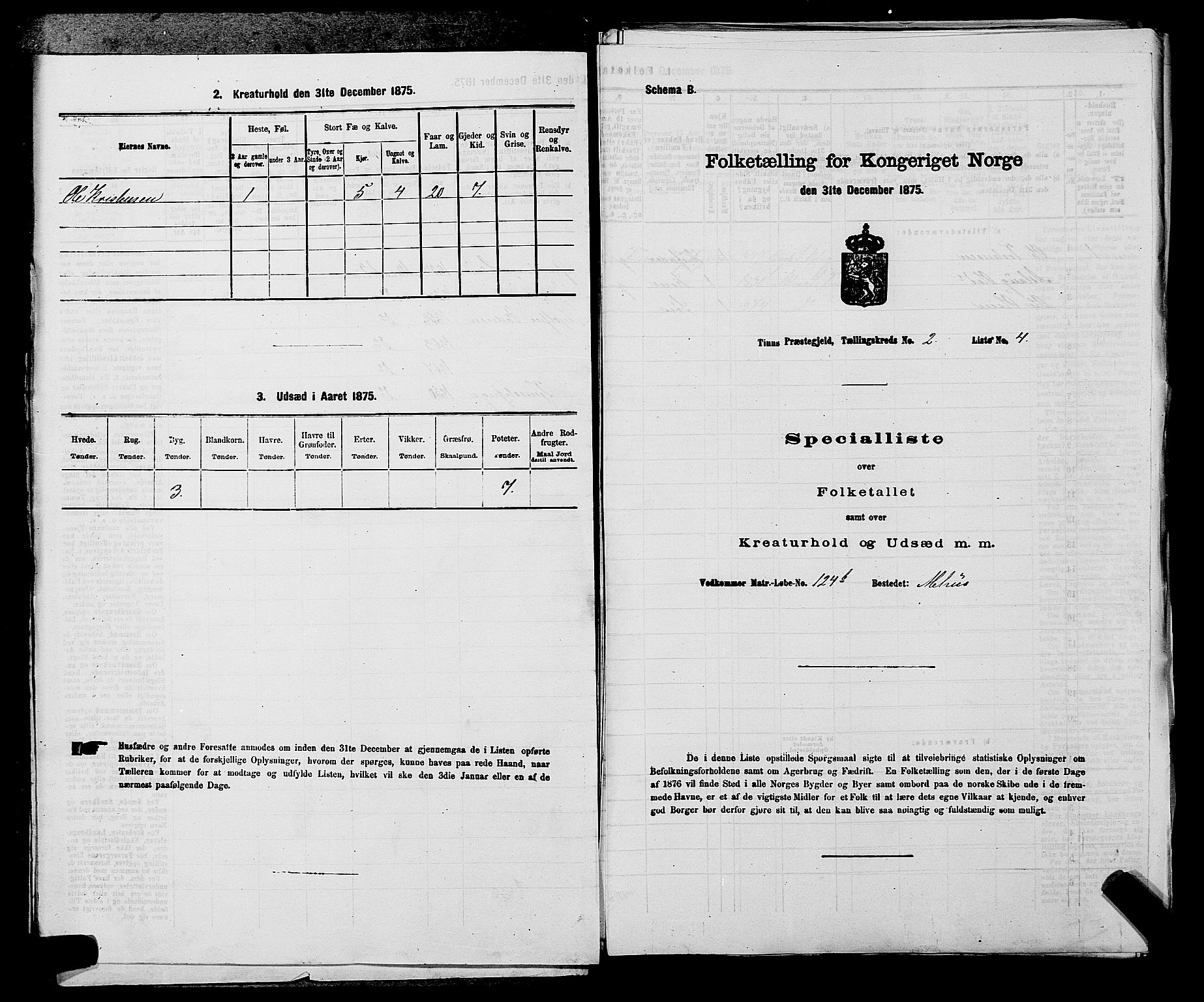 SAKO, 1875 census for 0826P Tinn, 1875, p. 173