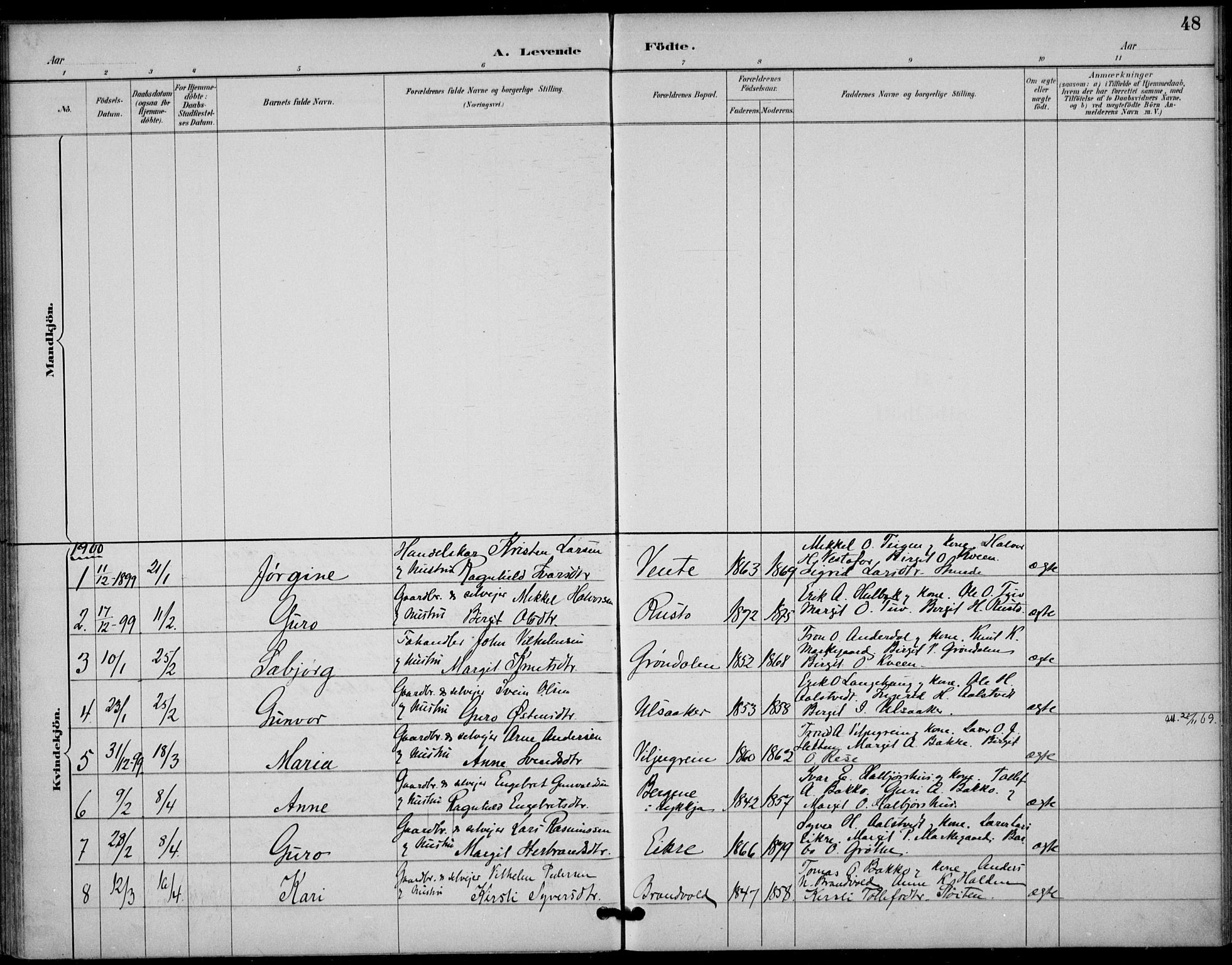 Gol kirkebøker, SAKO/A-226/F/Fb/L0001: Parish register (official) no. II 1, 1887-1900, p. 48