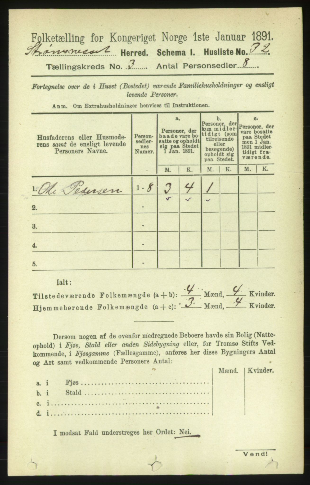 RA, 1891 census for 1559 Straumsnes, 1891, p. 455