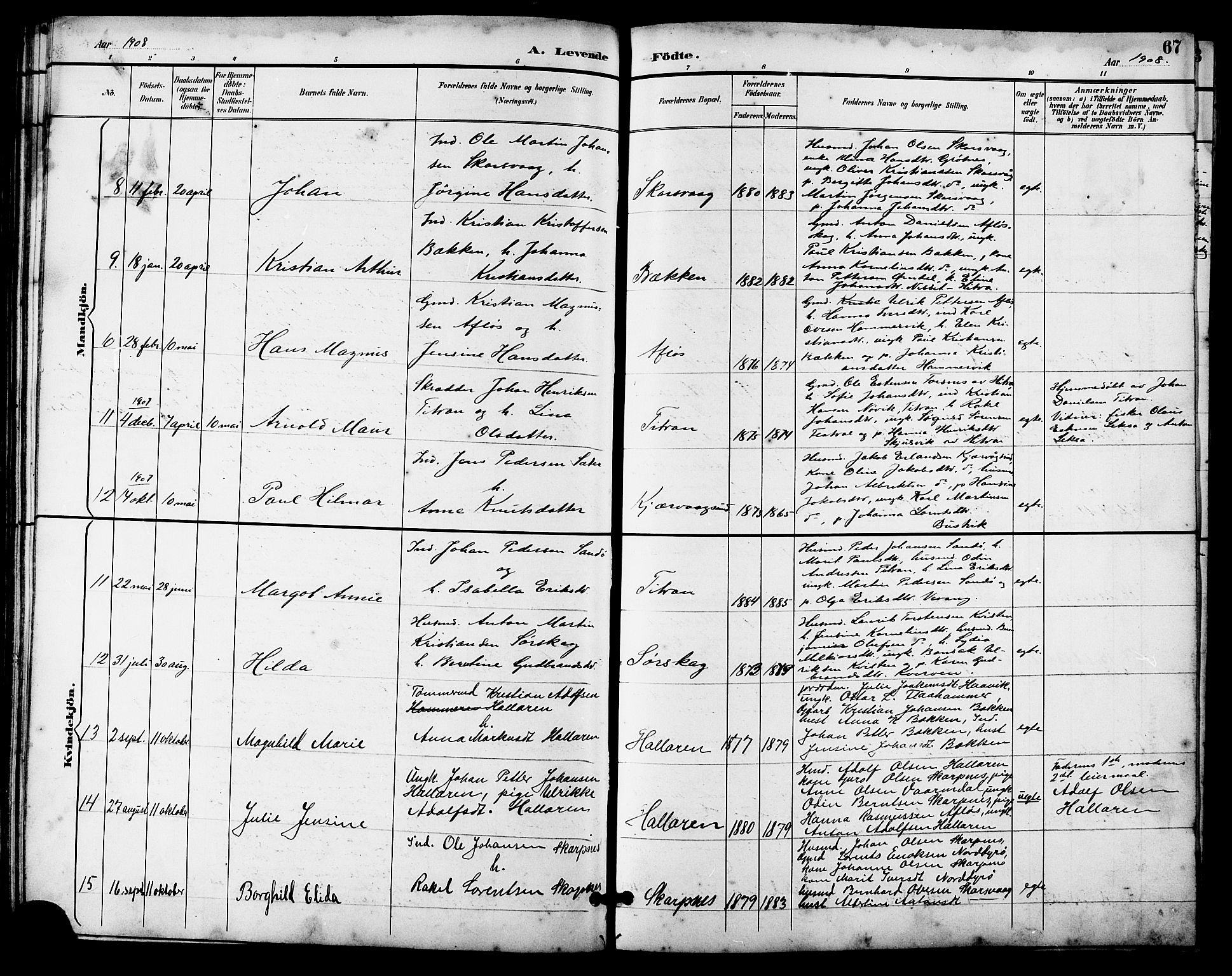 Ministerialprotokoller, klokkerbøker og fødselsregistre - Sør-Trøndelag, SAT/A-1456/641/L0598: Parish register (copy) no. 641C02, 1893-1910, p. 67