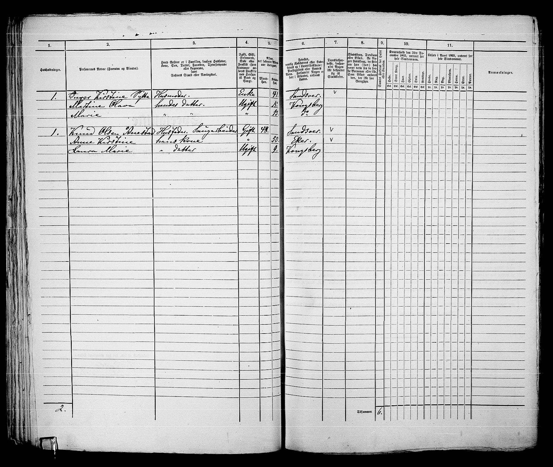 RA, 1865 census for Kongsberg/Kongsberg, 1865, p. 628