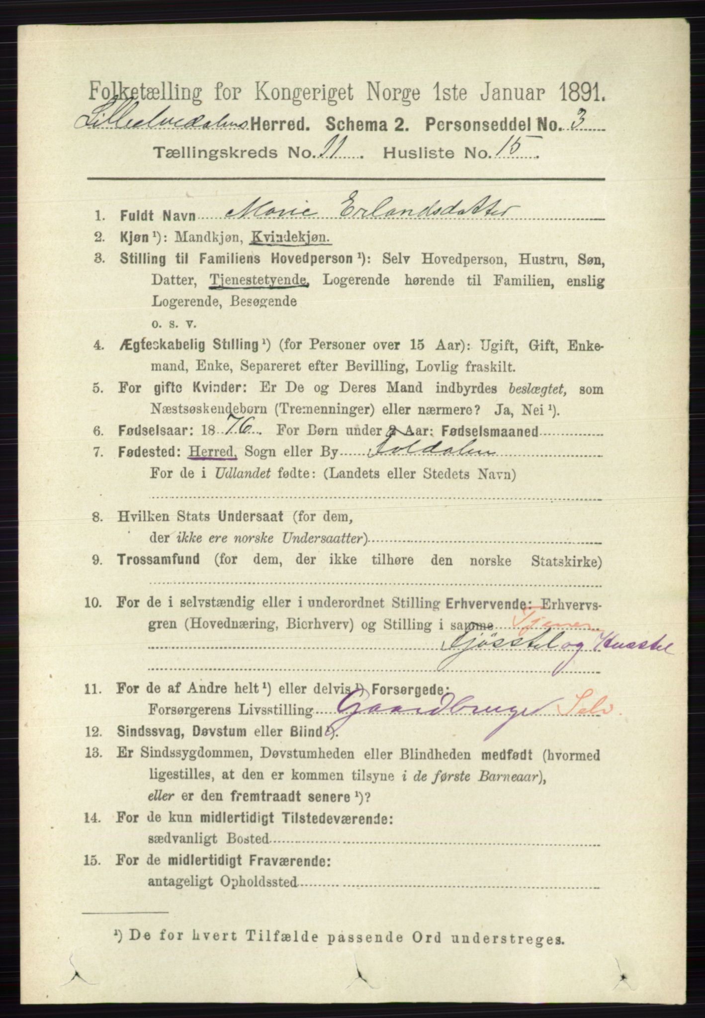 RA, 1891 census for 0438 Lille Elvedalen, 1891, p. 3894