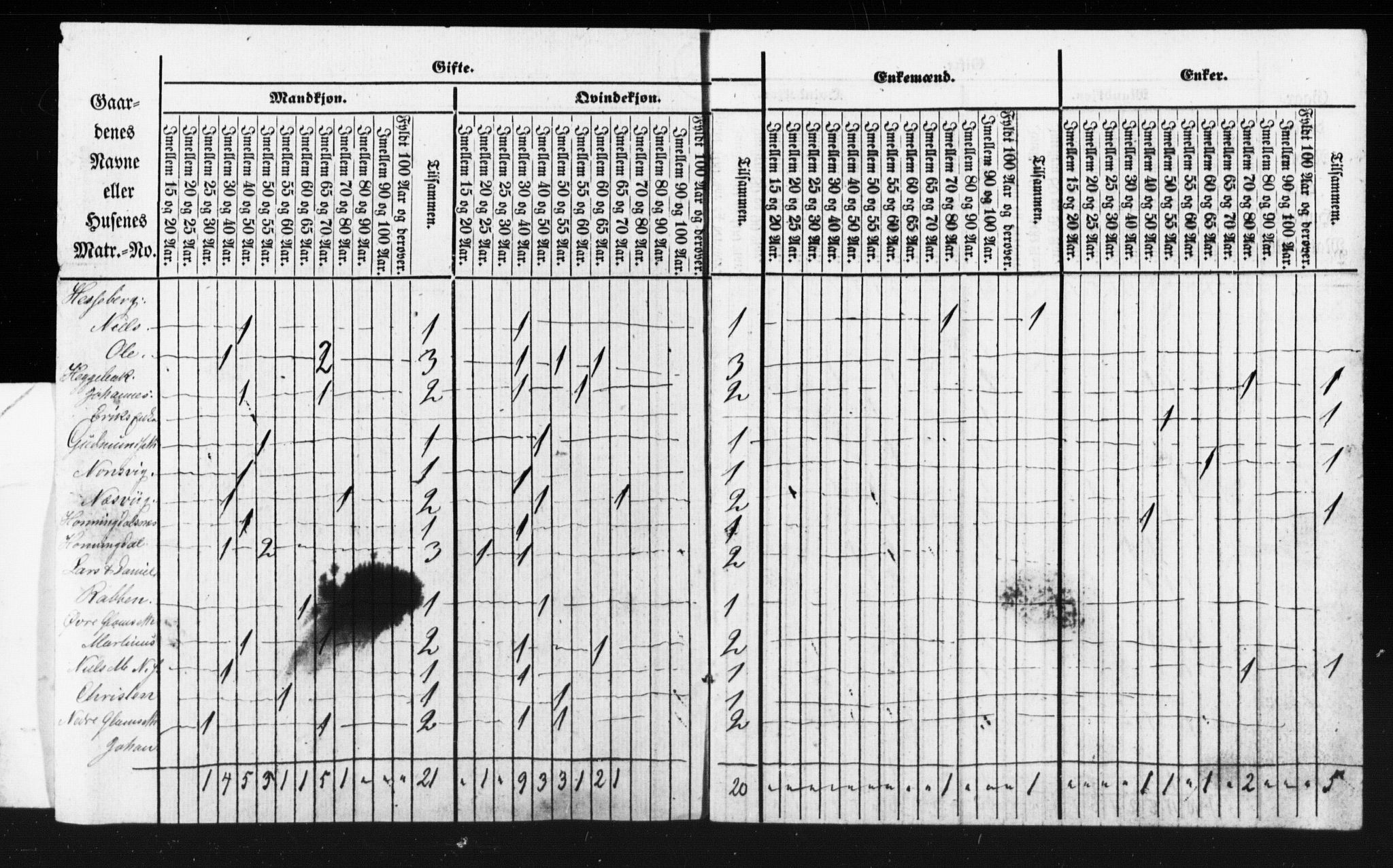 SAT, Census 1855 for Borgund, 1855, p. 41