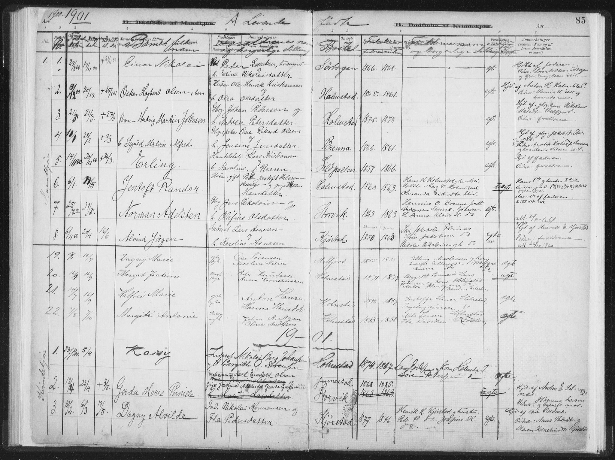 Ministerialprotokoller, klokkerbøker og fødselsregistre - Nordland, SAT/A-1459/890/L1286: Parish register (official) no. 890A01, 1882-1902, p. 85